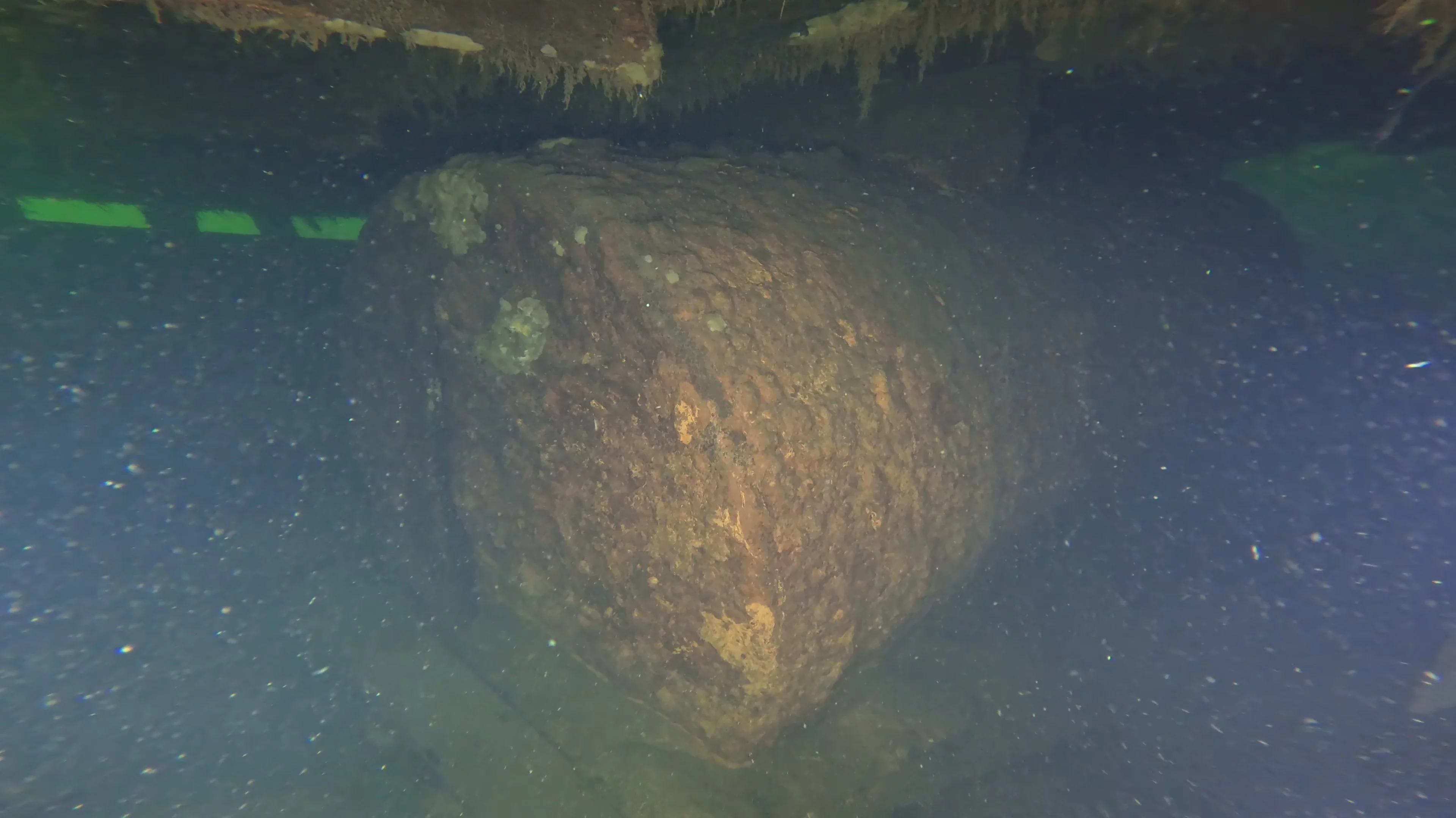 60' Wooden Wreck & Propeller (LU028), Lake Union, Seattle, WA — photo 42 of 57