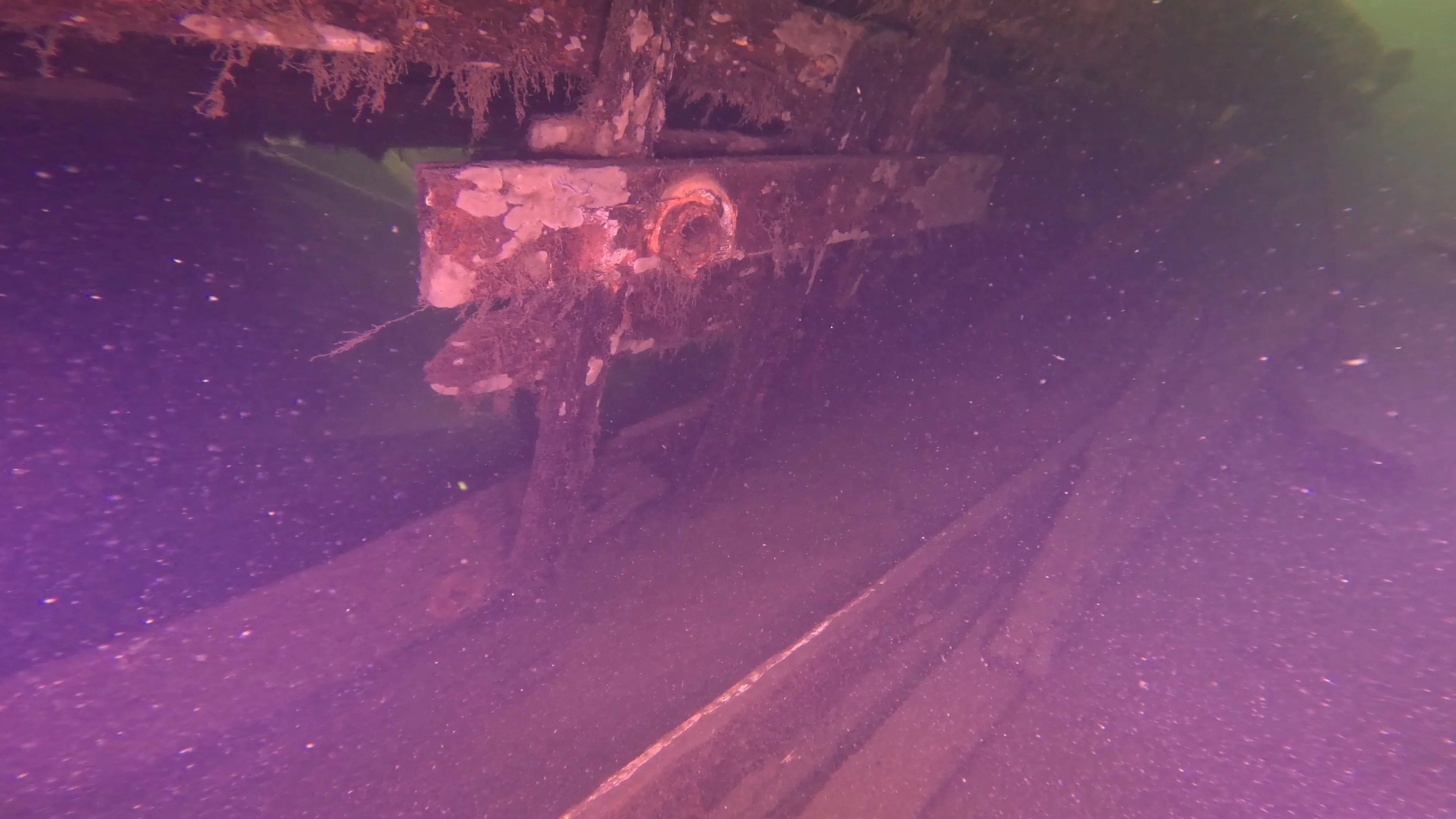 60' Wooden Wreck & Propeller (LU028), Lake Union, Seattle, WA — photo 43 of 57
