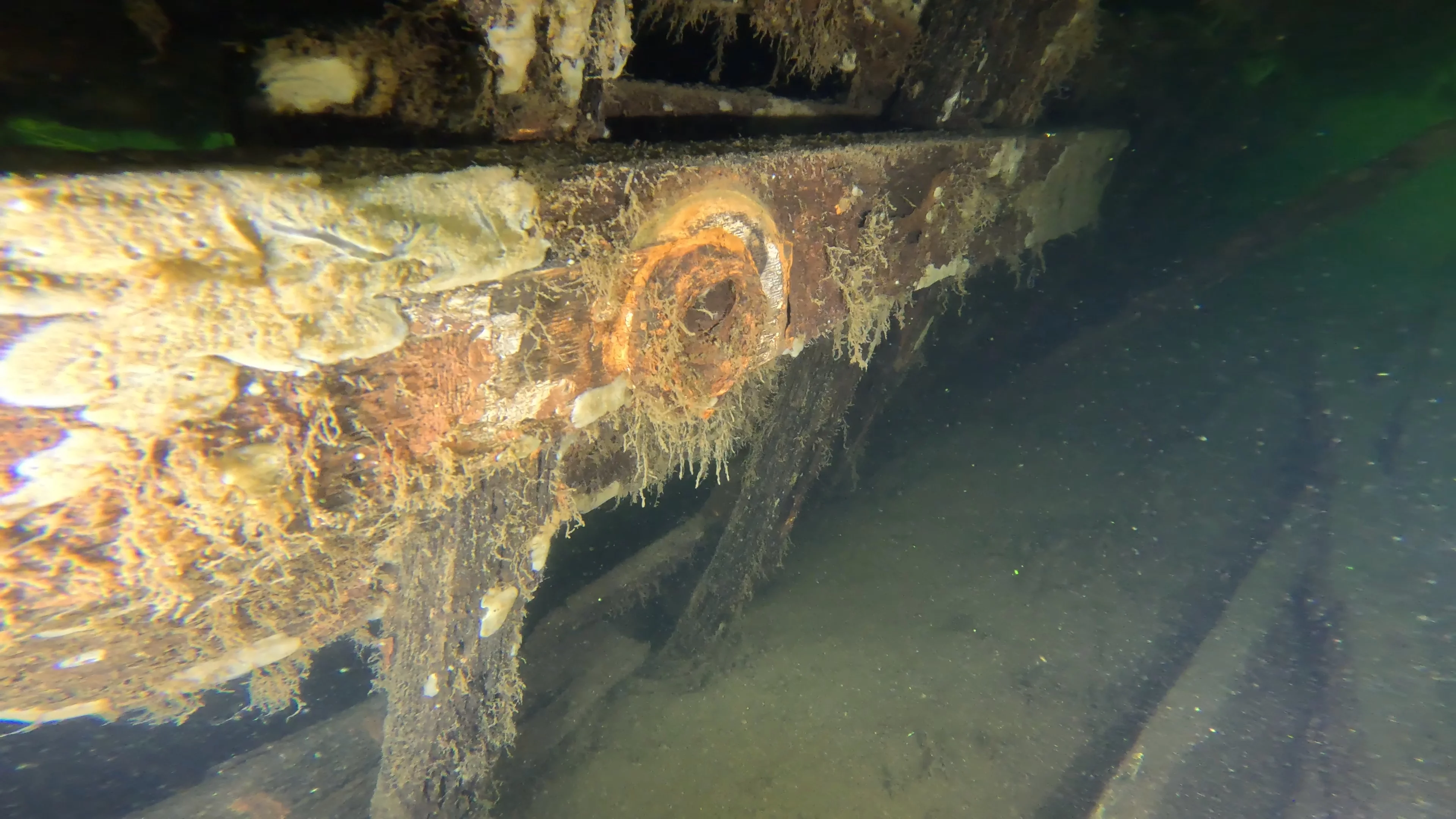 60' Wooden Wreck & Propeller (LU028), Lake Union, Seattle, WA — photo 44 of 57