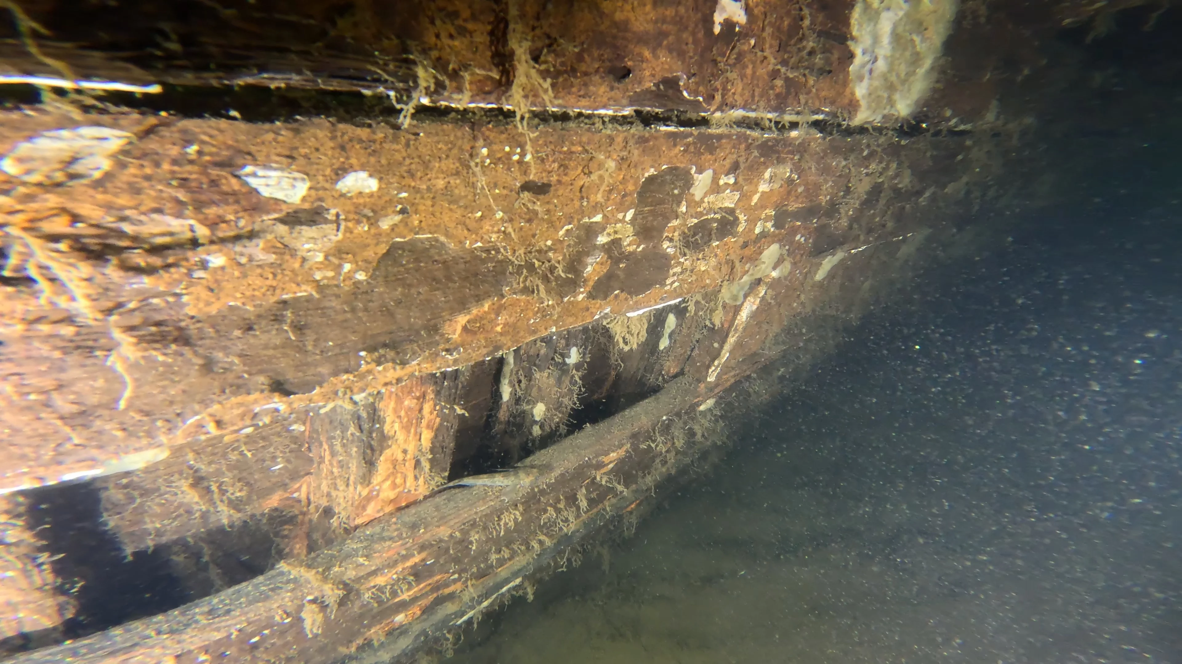 60' Wooden Wreck & Propeller (LU028), Lake Union, Seattle, WA — photo 46 of 57
