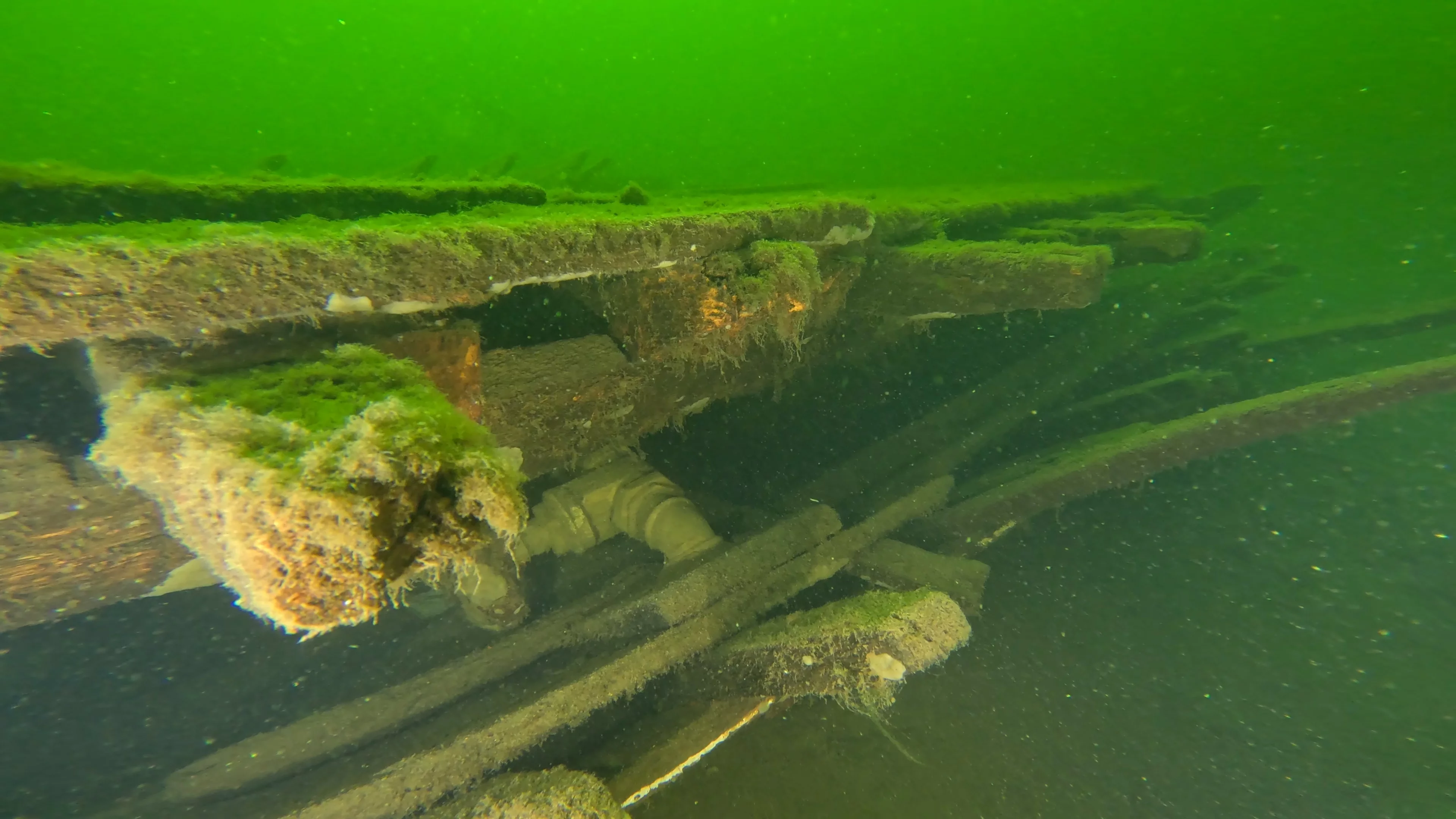 60' Wooden Wreck & Propeller (LU028), Lake Union, Seattle, WA — photo 47 of 57