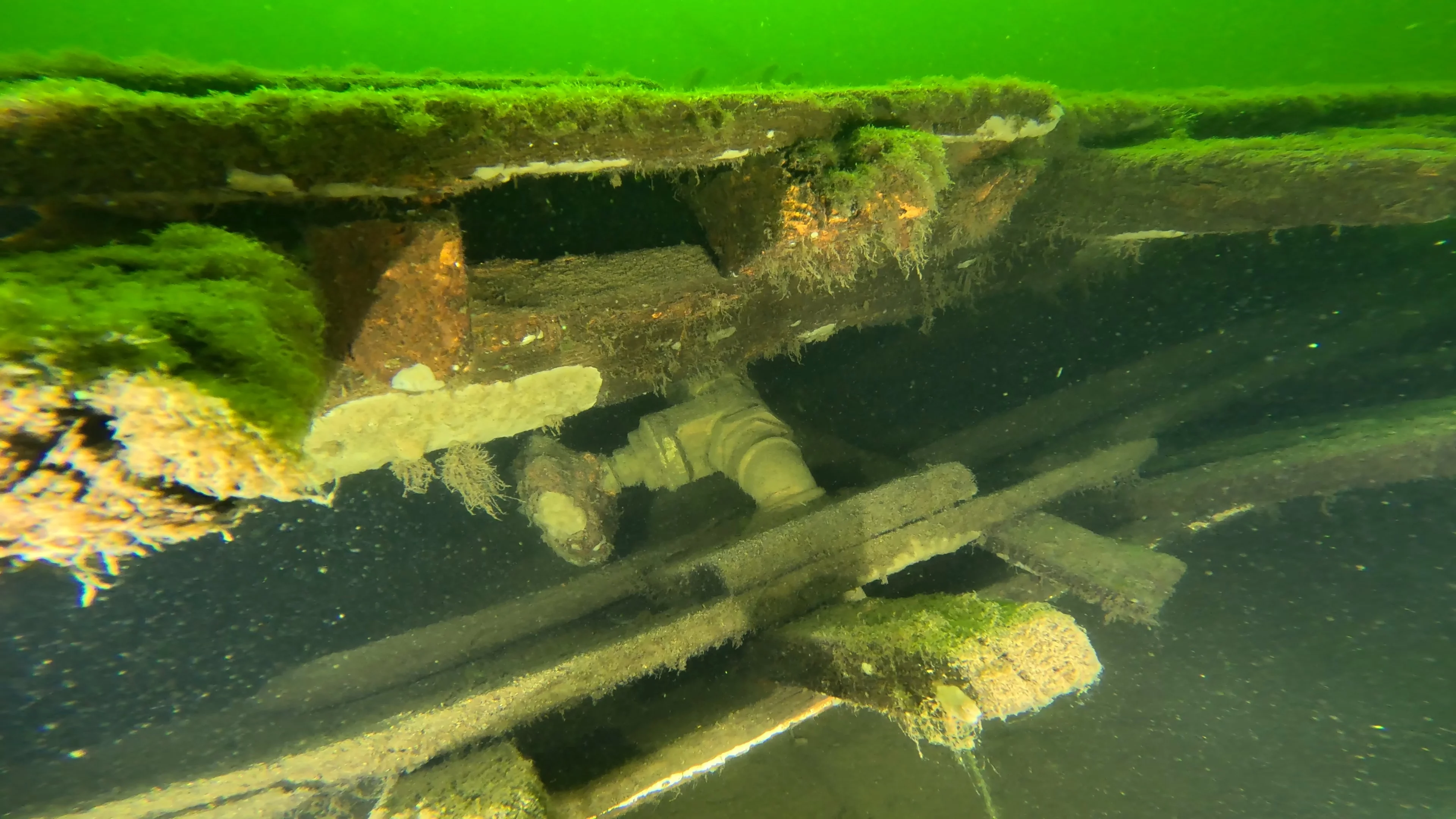 60' Wooden Wreck & Propeller (LU028), Lake Union, Seattle, WA — photo 48 of 57