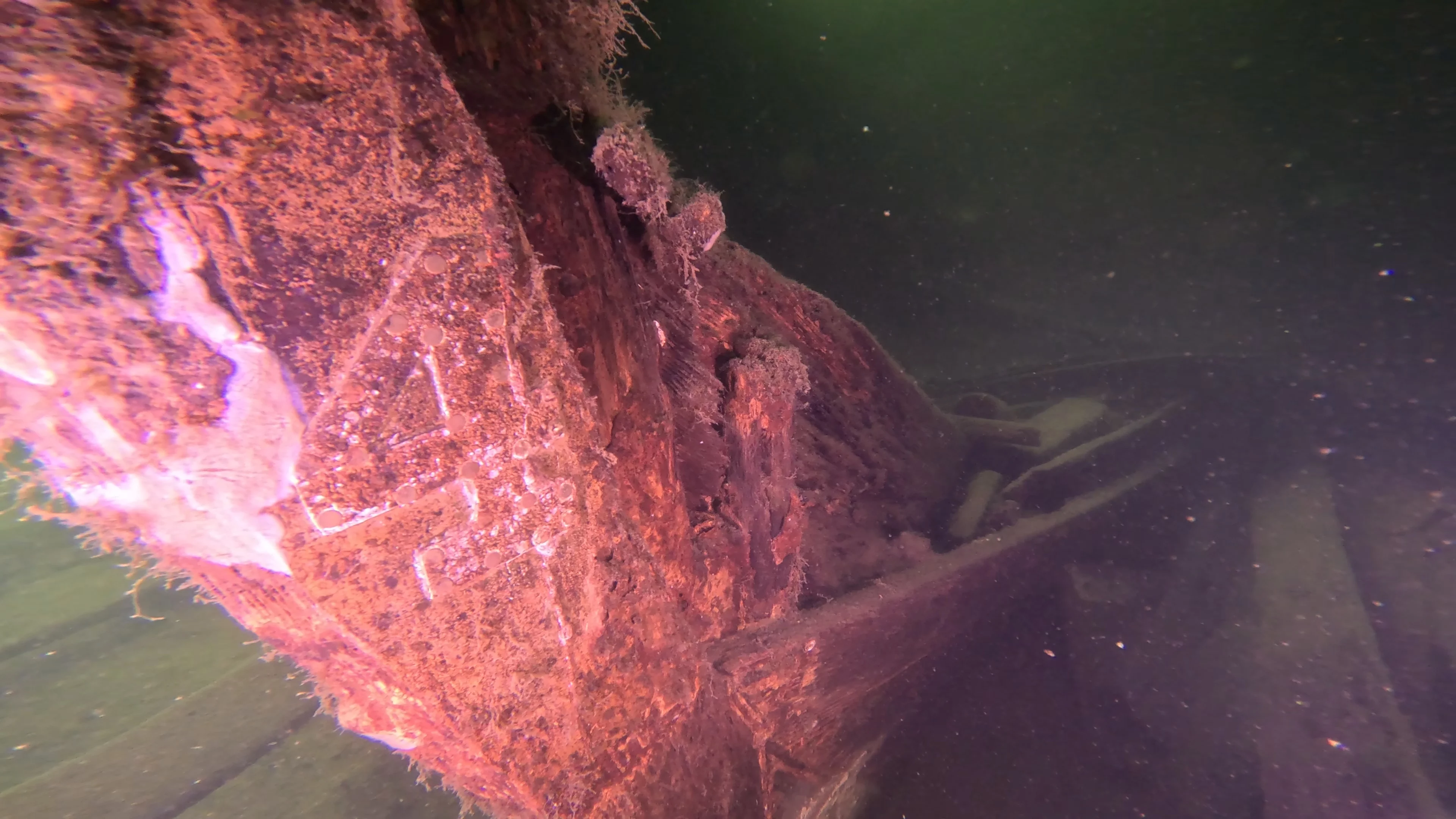 60' Wooden Wreck & Propeller (LU028), Lake Union, Seattle, WA — photo 56 of 57