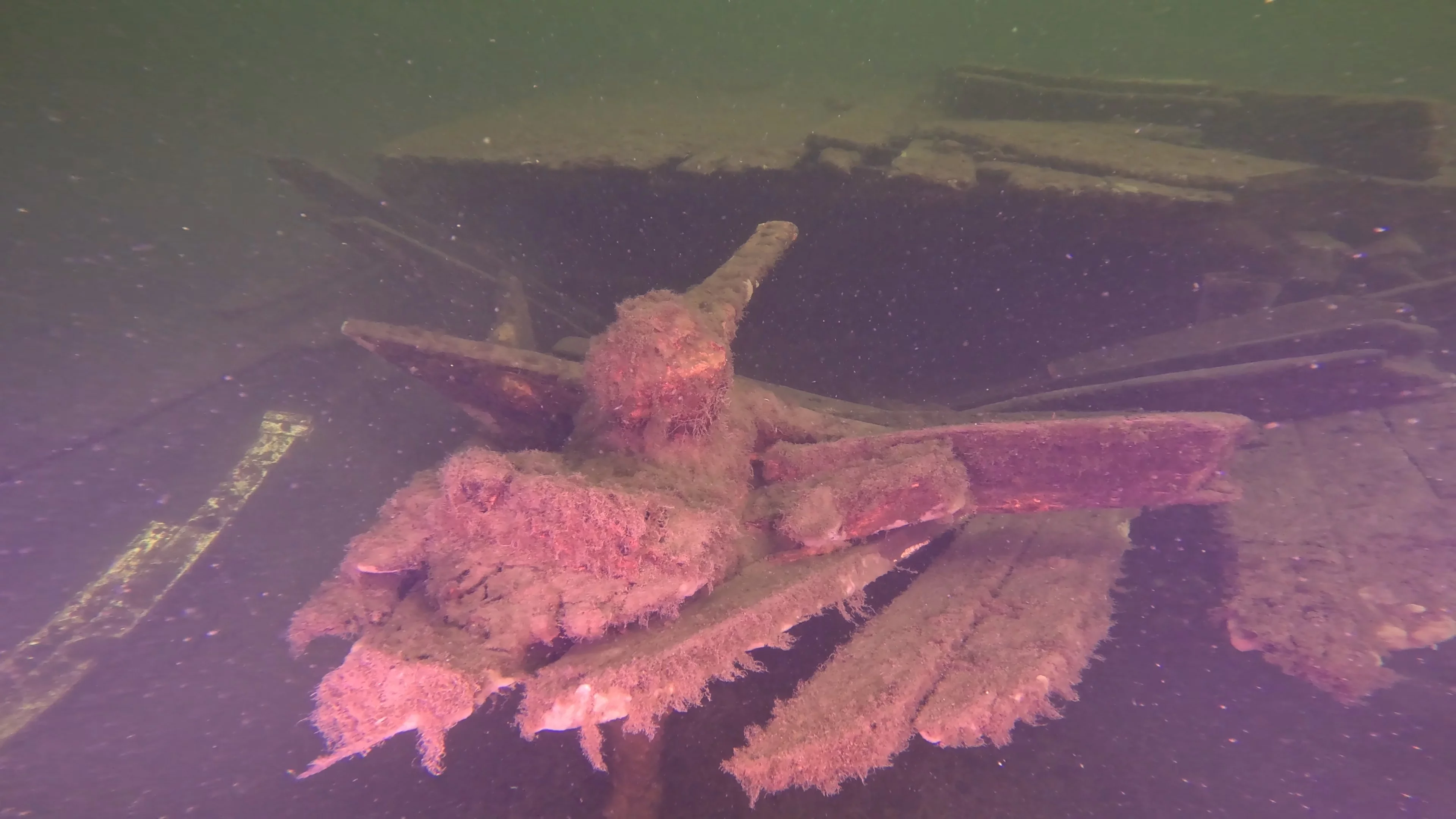 60' Wooden Wreck & Propeller (LU028), Lake Union, Seattle, WA — main photo