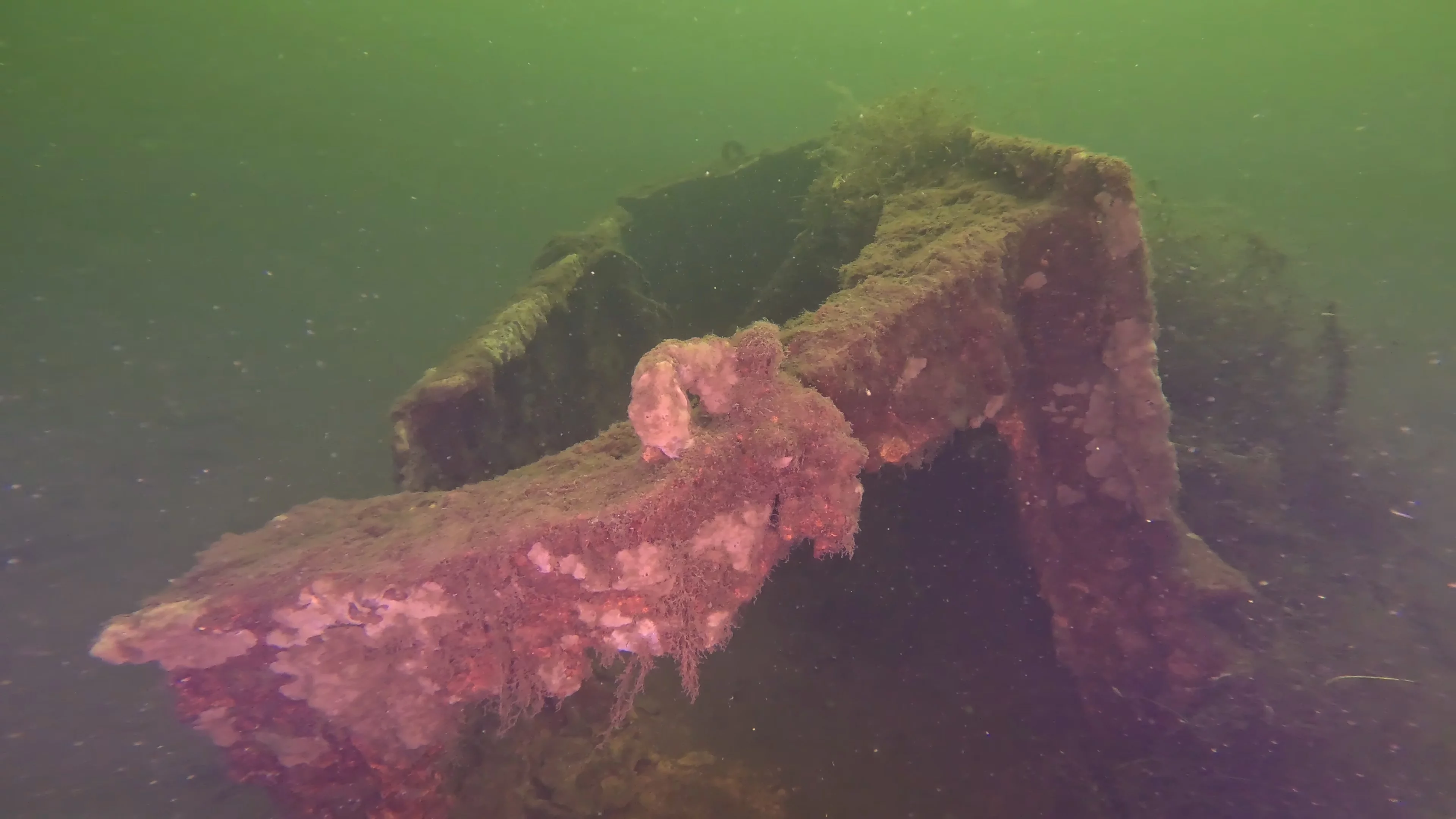 Corroded Metal Frame Debris (LU029), Lake Union, Seattle, WA — photo 2 of 12