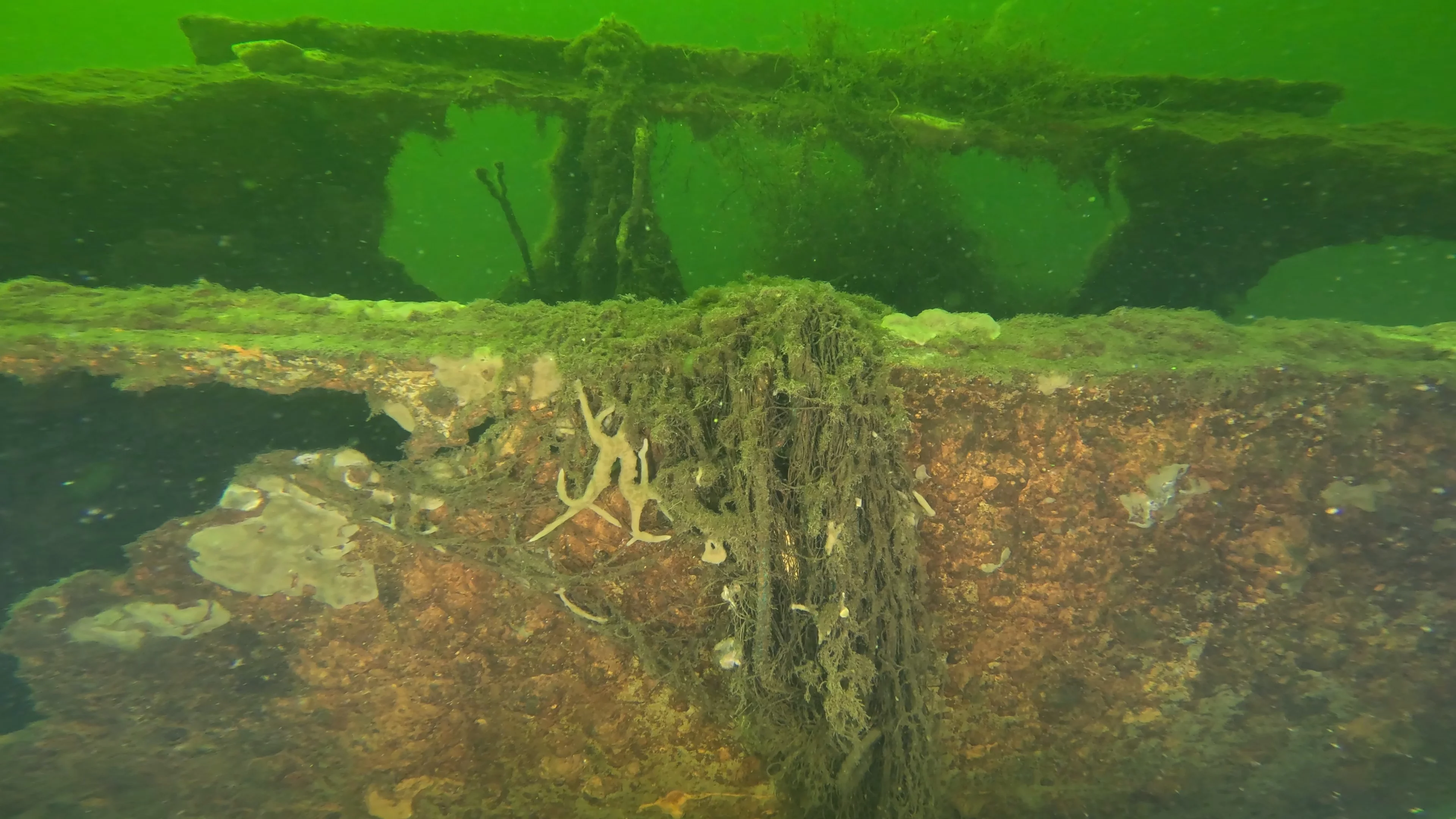 Corroded Metal Frame Debris (LU029), Lake Union, Seattle, WA — photo 3 of 12