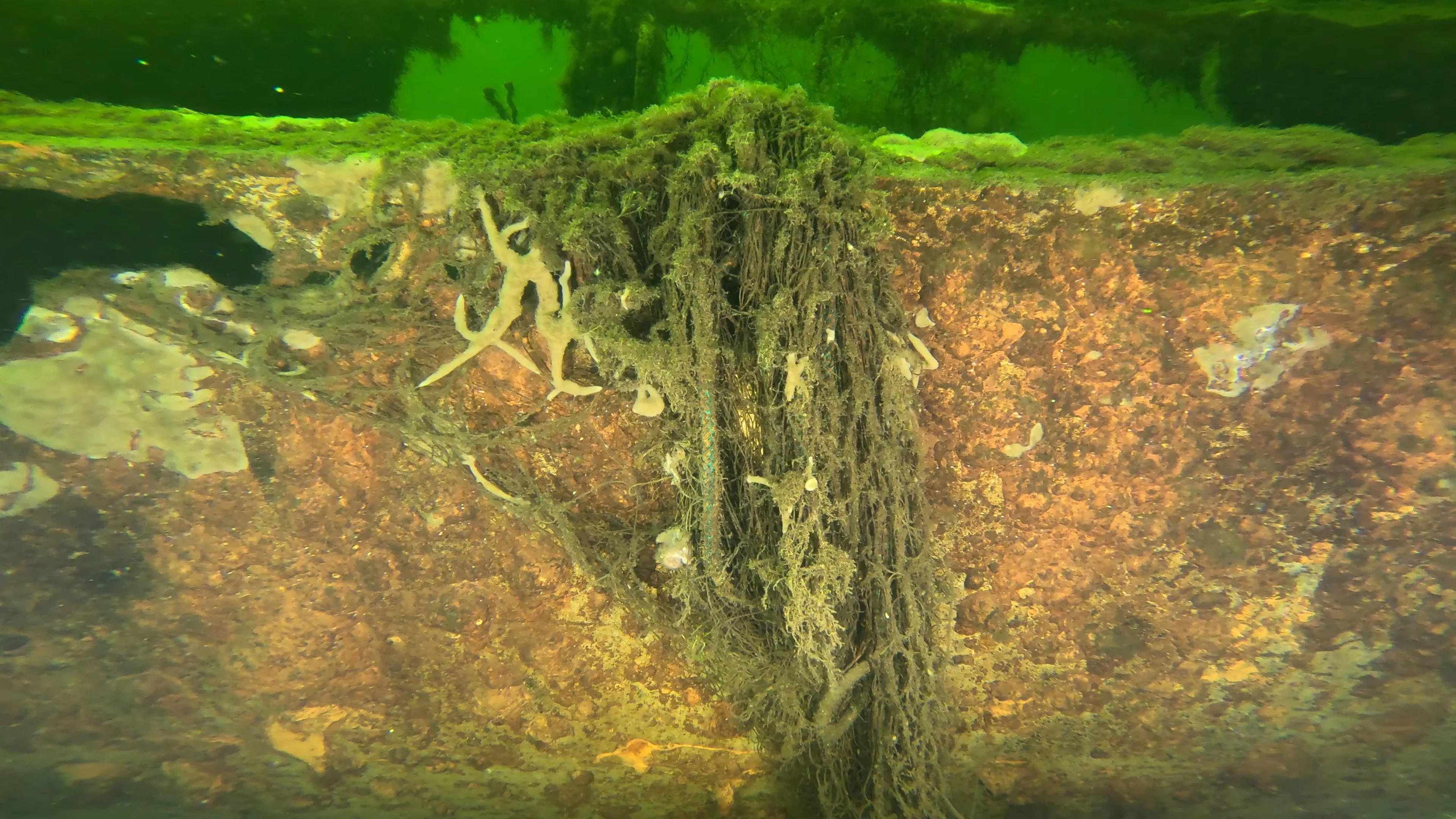 Corroded Metal Frame Debris (LU029), Lake Union, Seattle, WA — photo 4 of 12