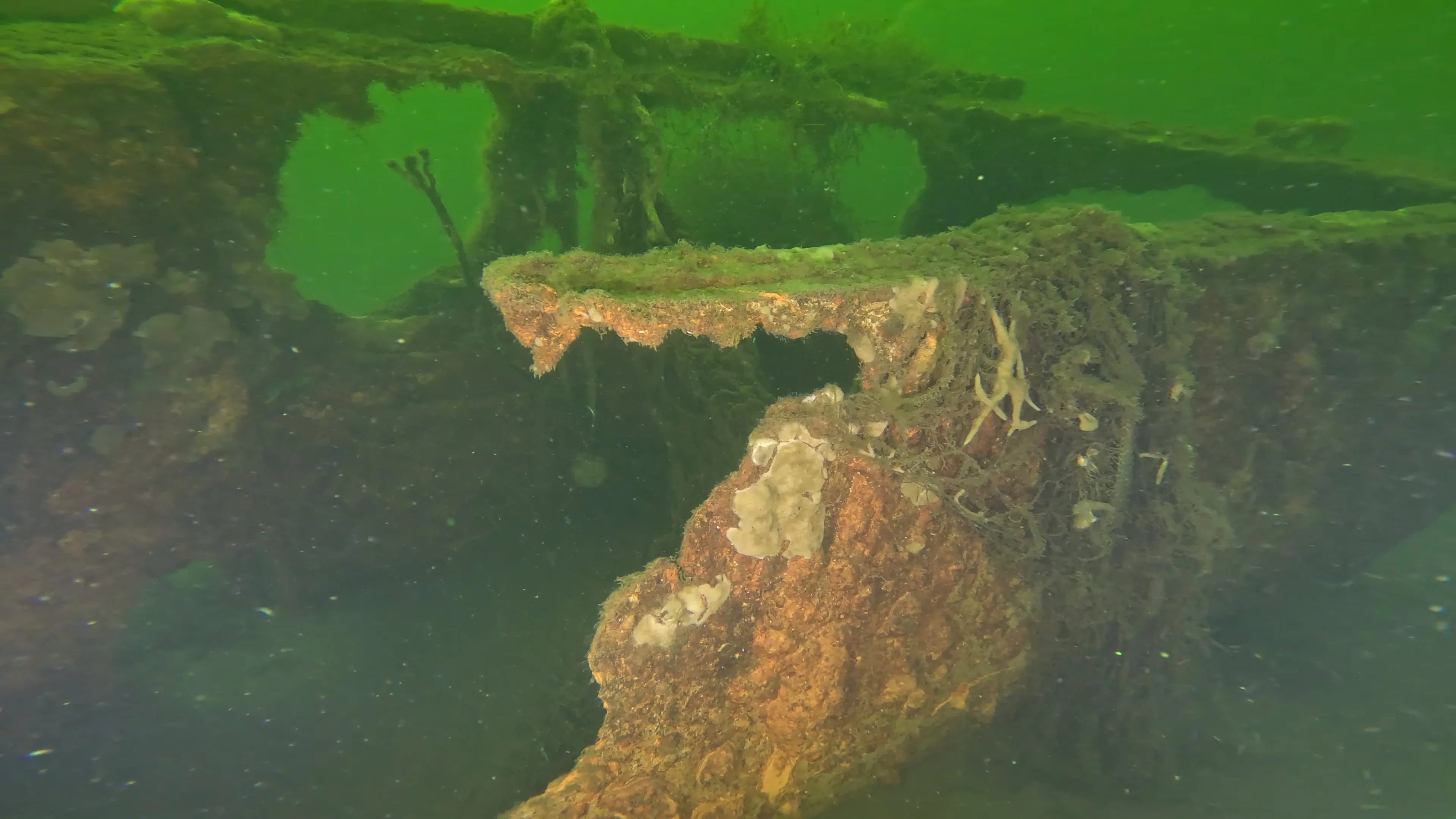 Corroded Metal Frame Debris (LU029), Lake Union, Seattle, WA — photo 5 of 12