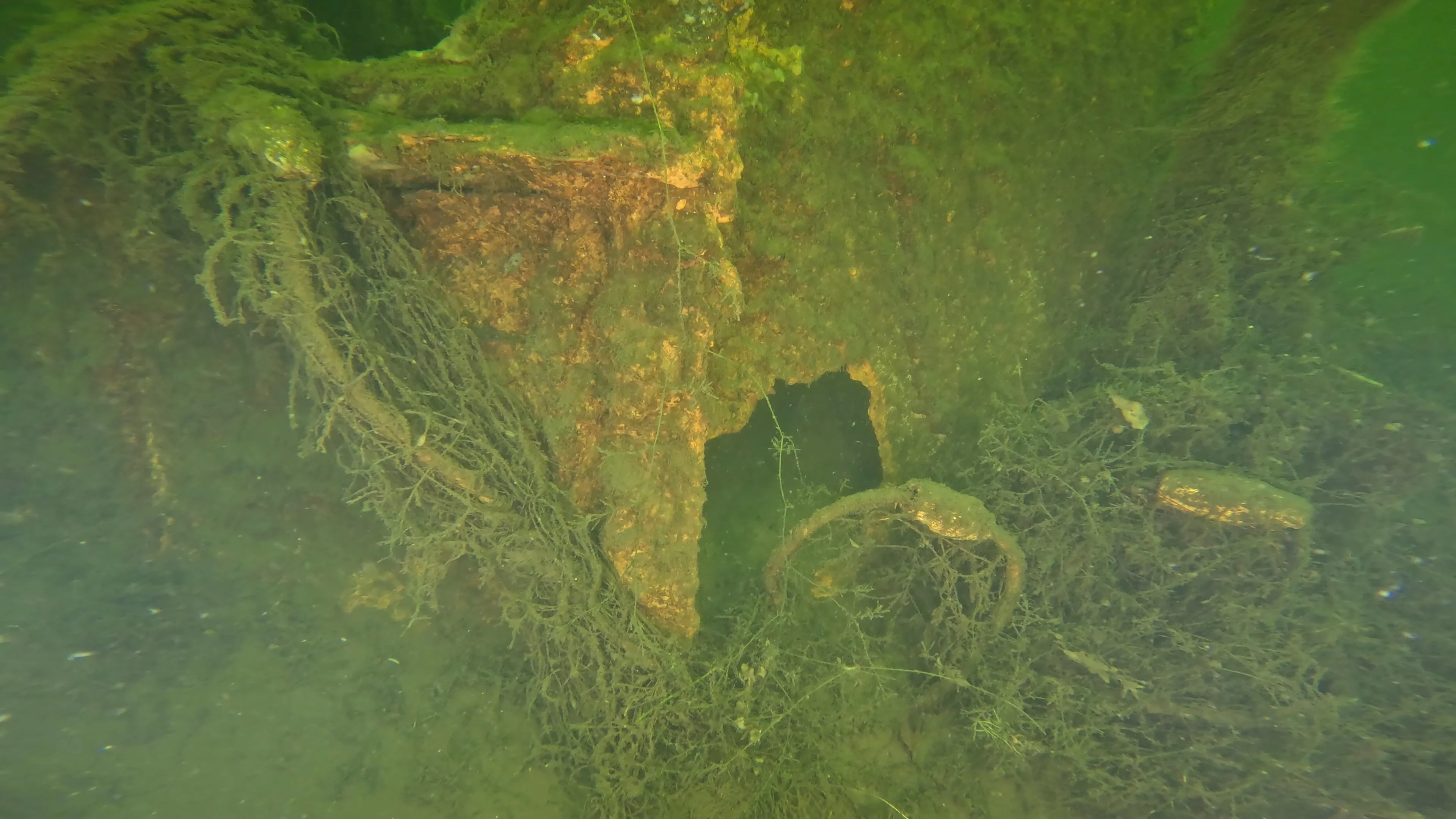 Corroded Metal Frame Debris (LU029), Lake Union, Seattle, WA — photo 6 of 12