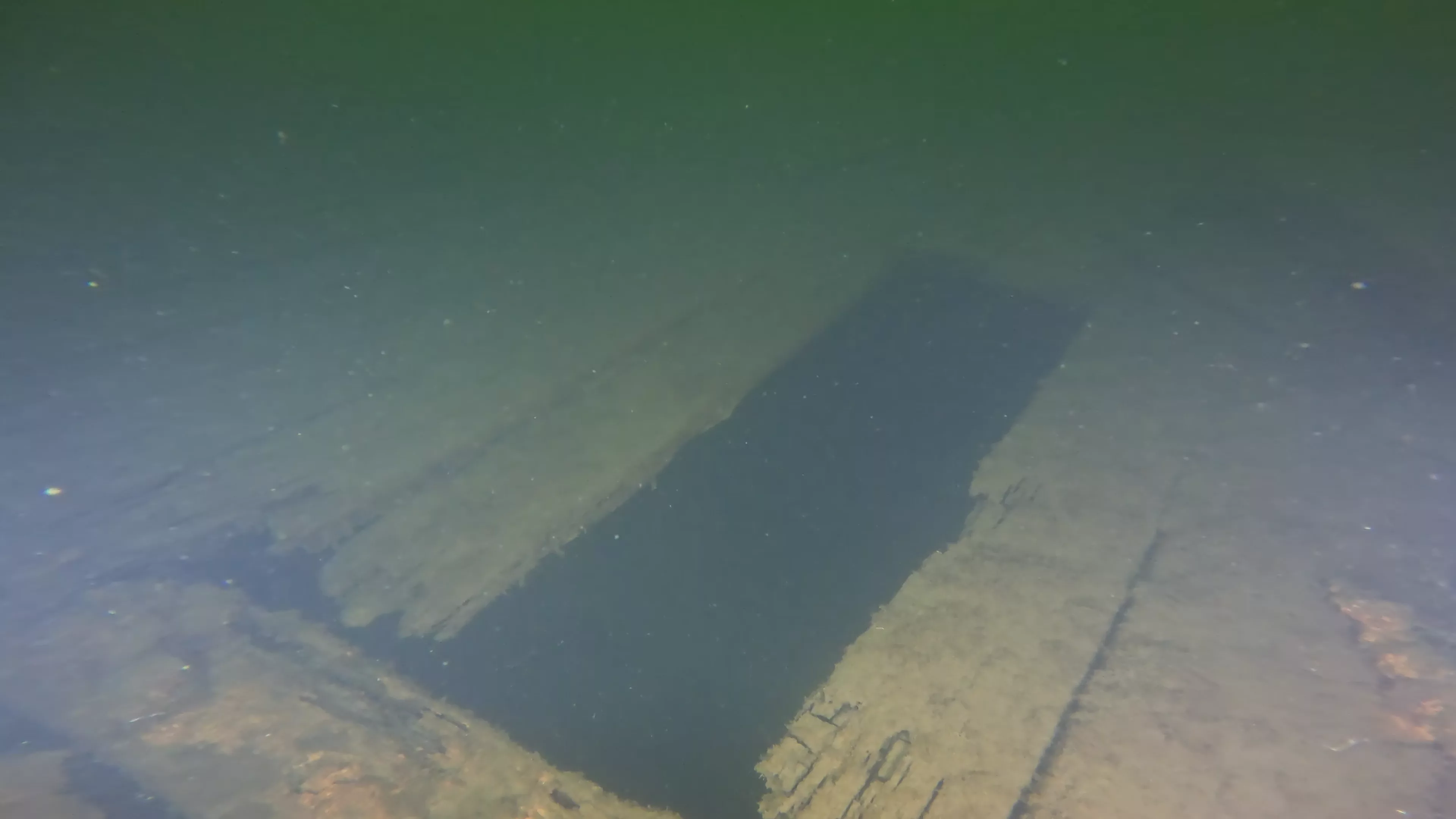 60' Wood Barge Wreck (LU032), Lake Union, Seattle, WA — photo 3 of 22