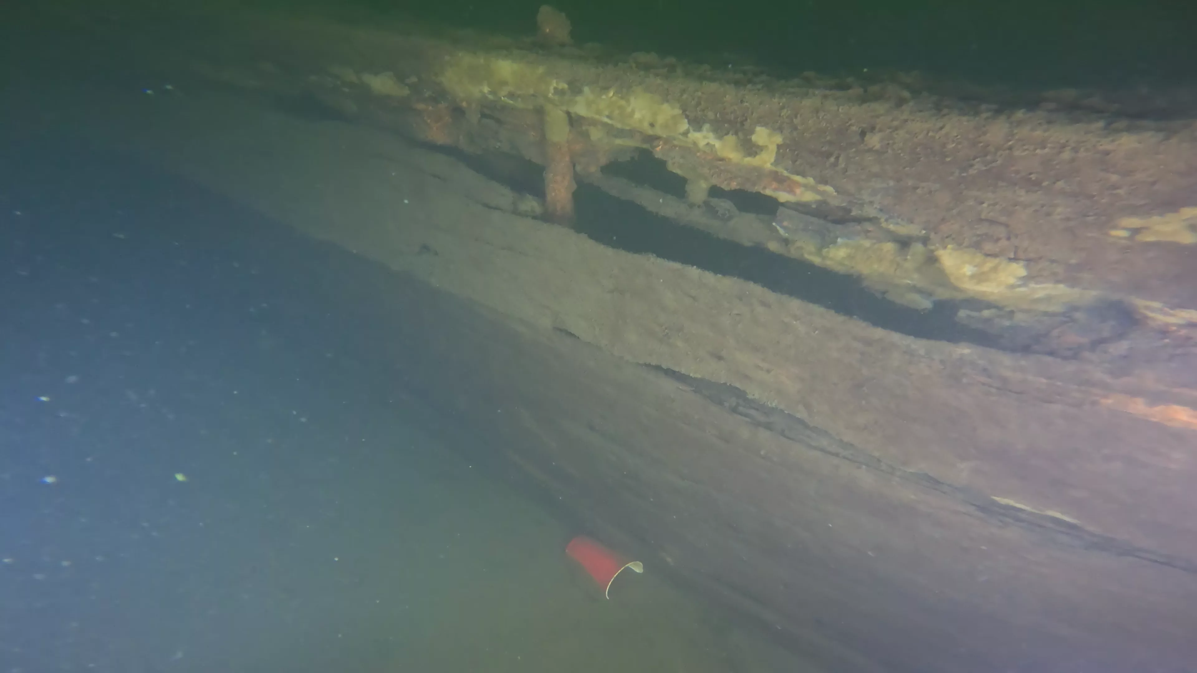 60' Wood Barge Wreck (LU032), Lake Union, Seattle, WA — photo 5 of 22