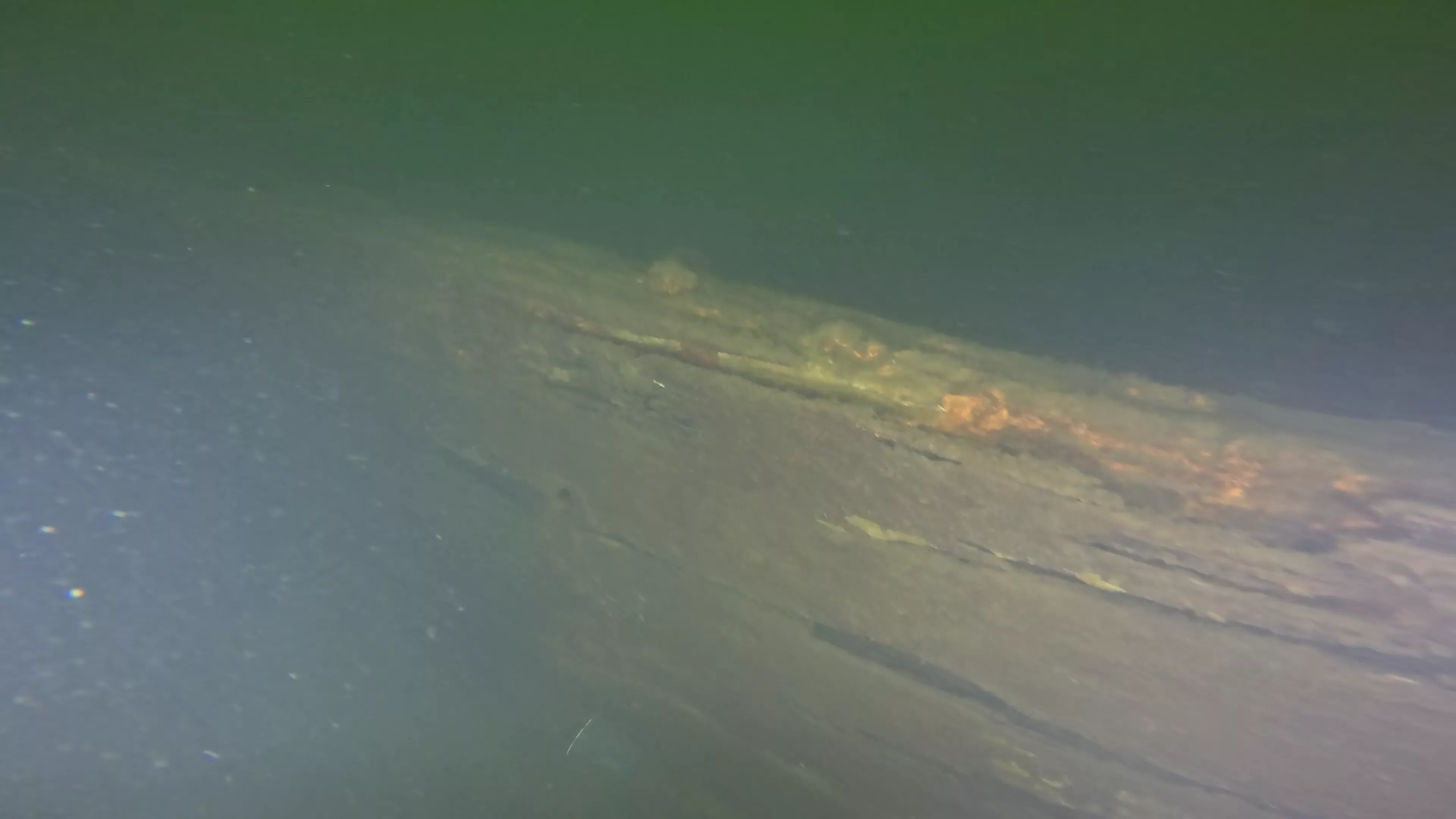 60' Wood Barge Wreck (LU032), Lake Union, Seattle, WA — photo 6 of 22