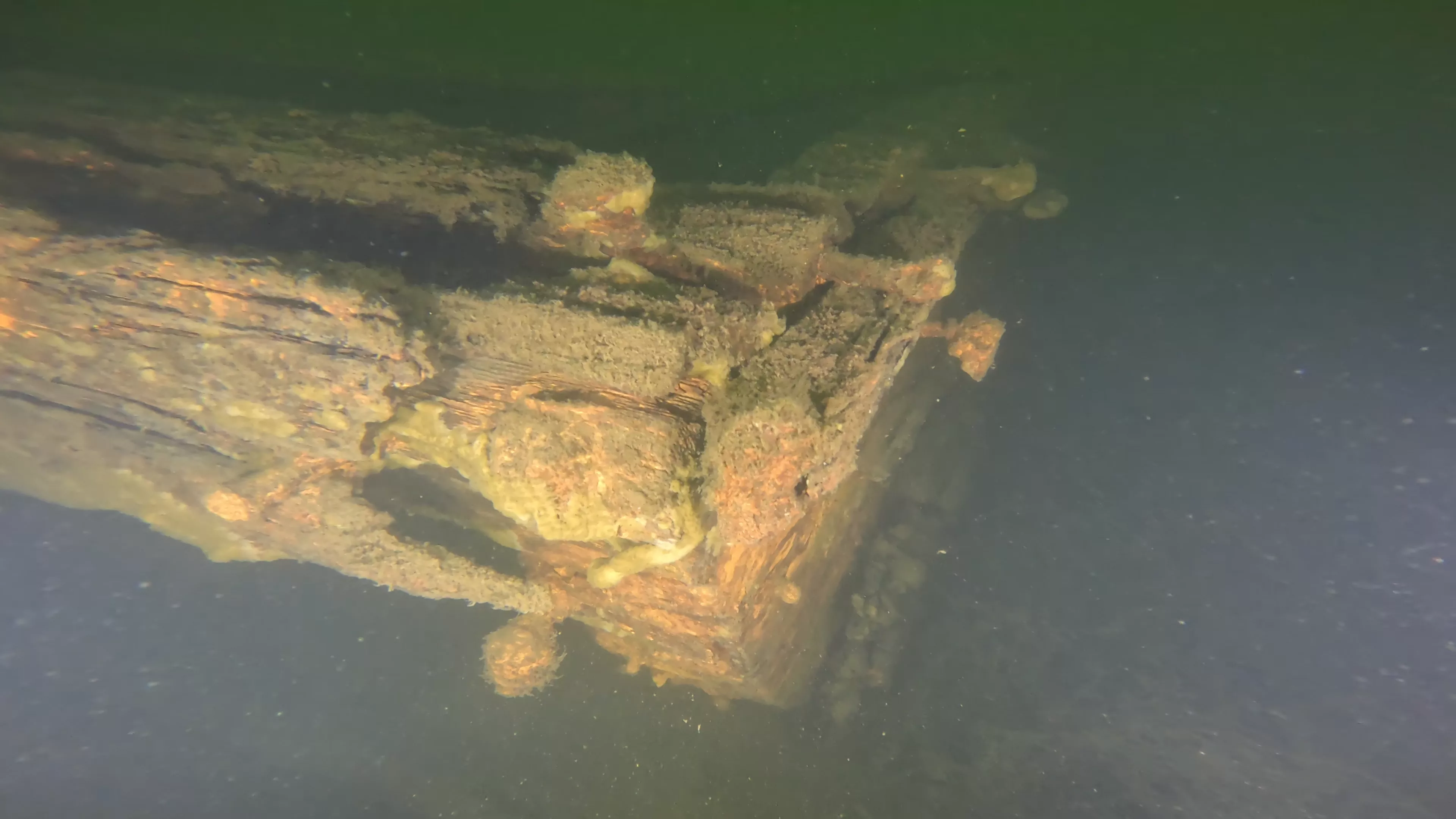 60' Wood Barge Wreck (LU032), Lake Union, Seattle, WA — photo 9 of 22