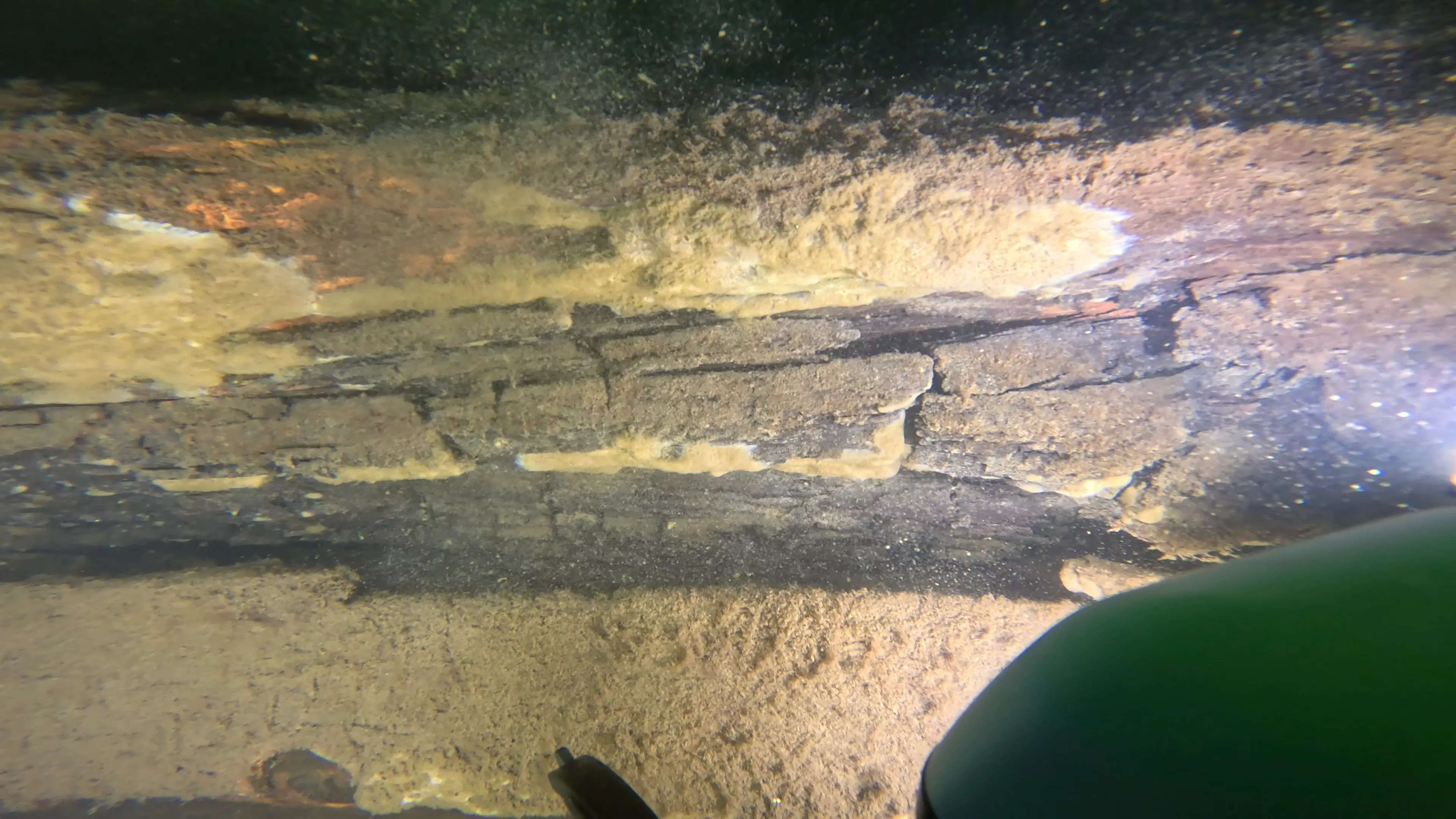 60' Wood Barge Wreck (LU032), Lake Union, Seattle, WA — photo 11 of 22