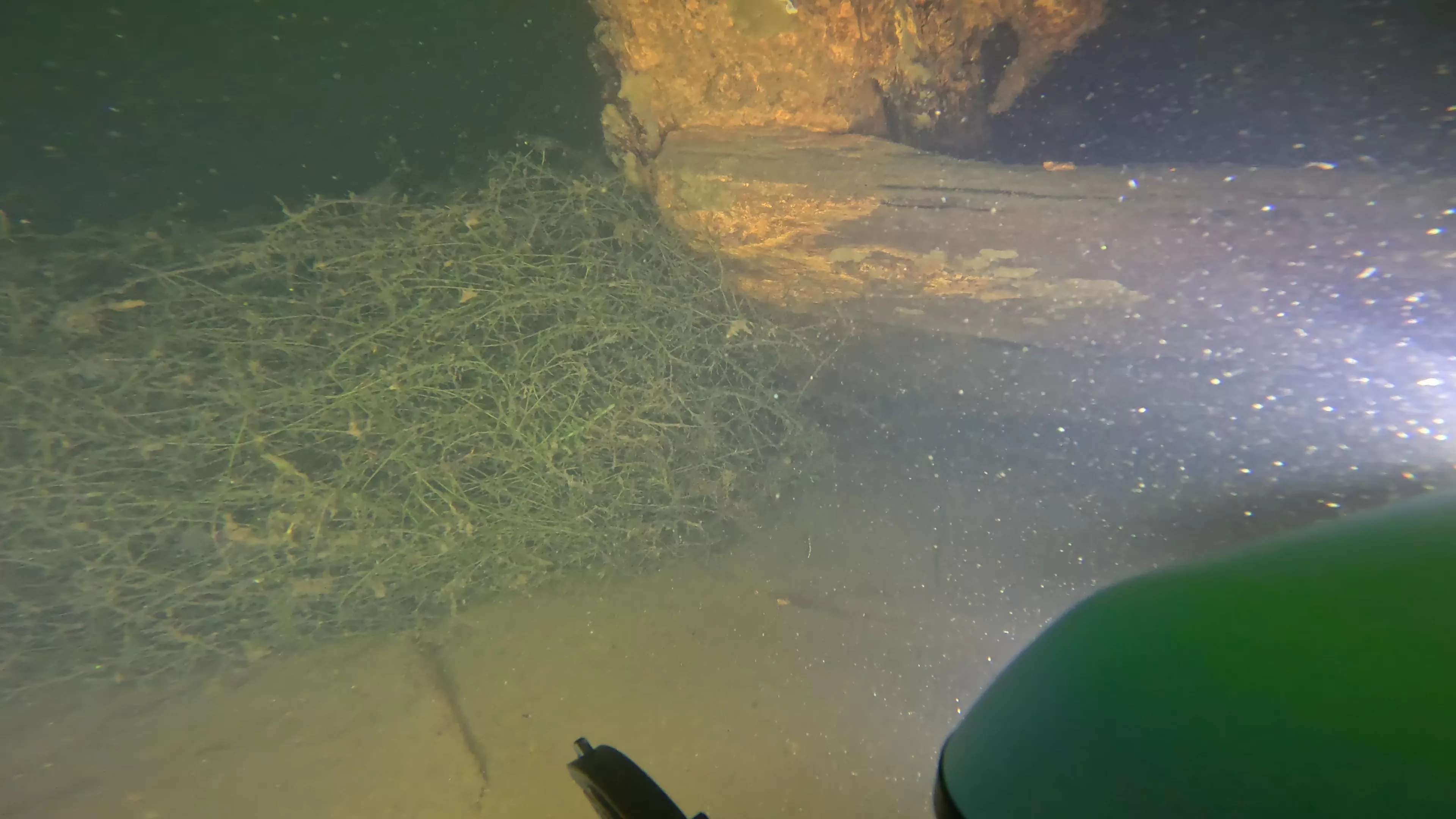 60' Wood Barge Wreck (LU032), Lake Union, Seattle, WA — photo 13 of 22