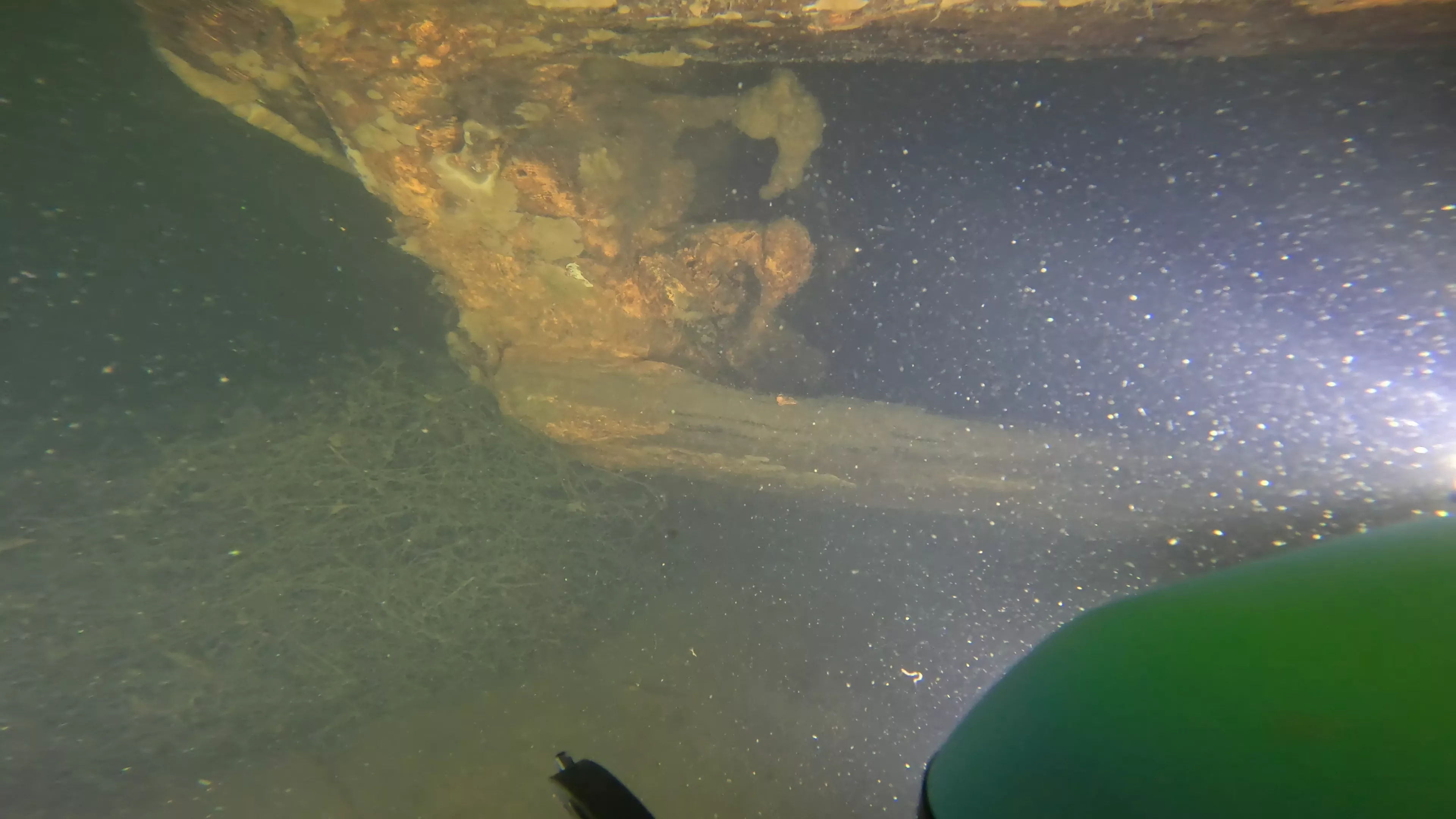 60' Wood Barge Wreck (LU032), Lake Union, Seattle, WA — photo 14 of 22