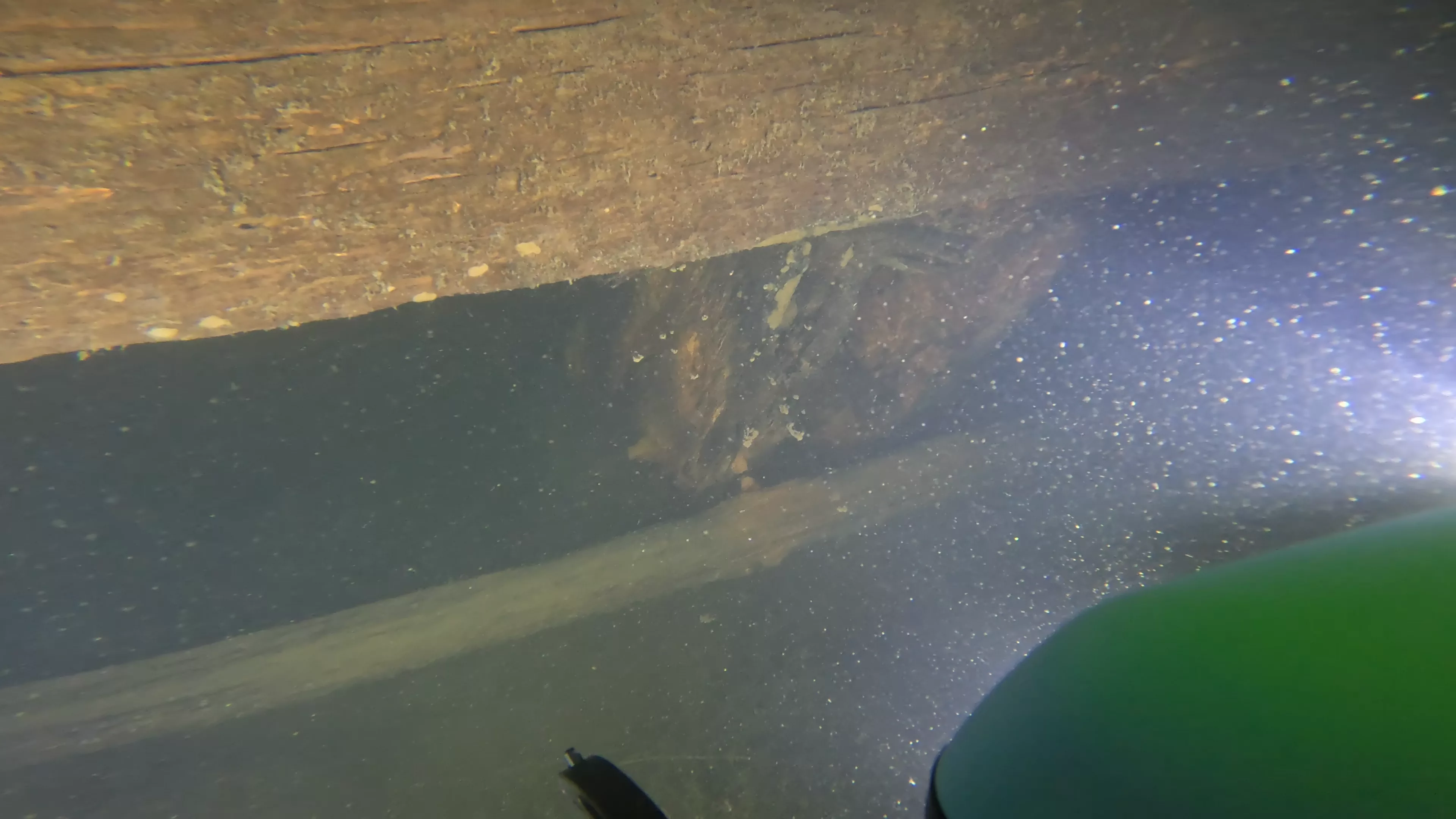 60' Wood Barge Wreck (LU032), Lake Union, Seattle, WA — photo 15 of 22