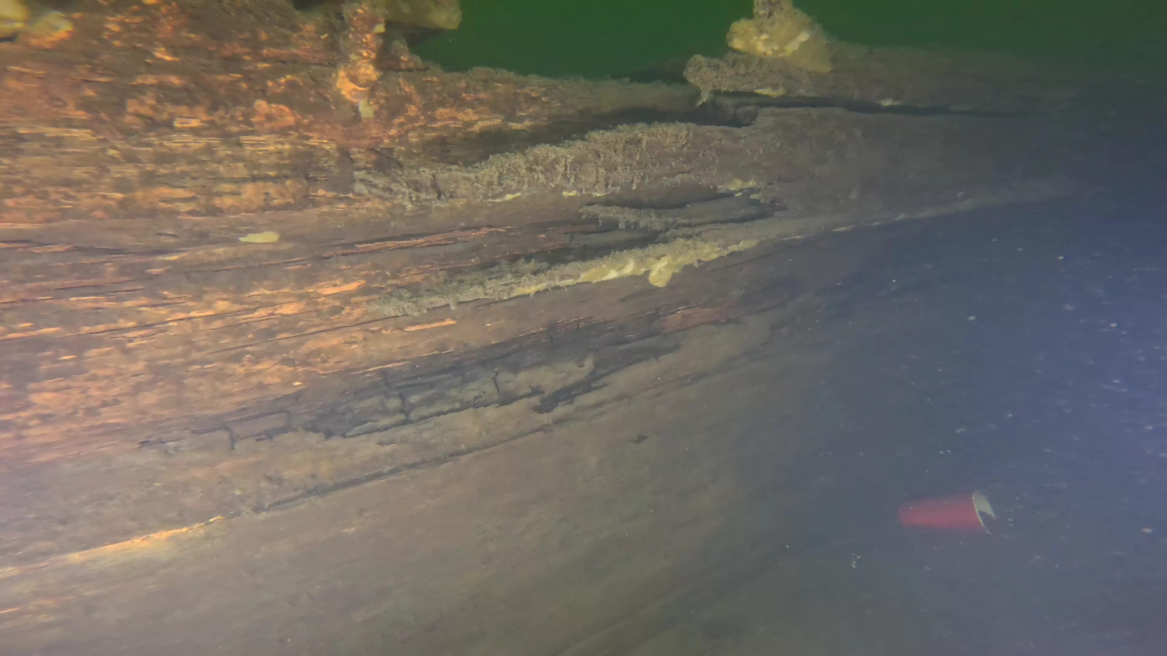 60' Wood Barge Wreck (LU032), Lake Union, Seattle, WA — photo 17 of 22