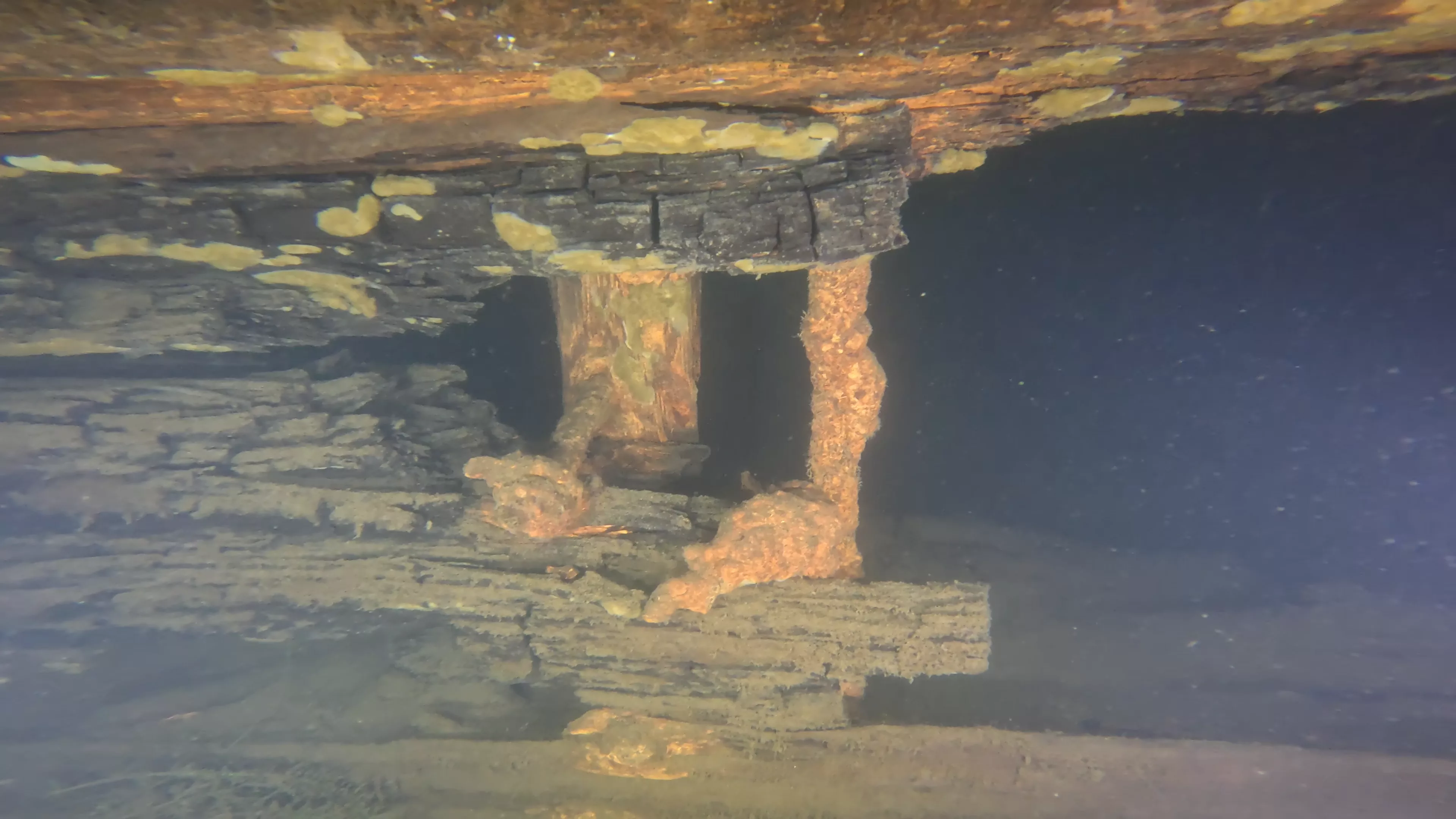 60' Wood Barge Wreck (LU032), Lake Union, Seattle, WA — photo 19 of 22