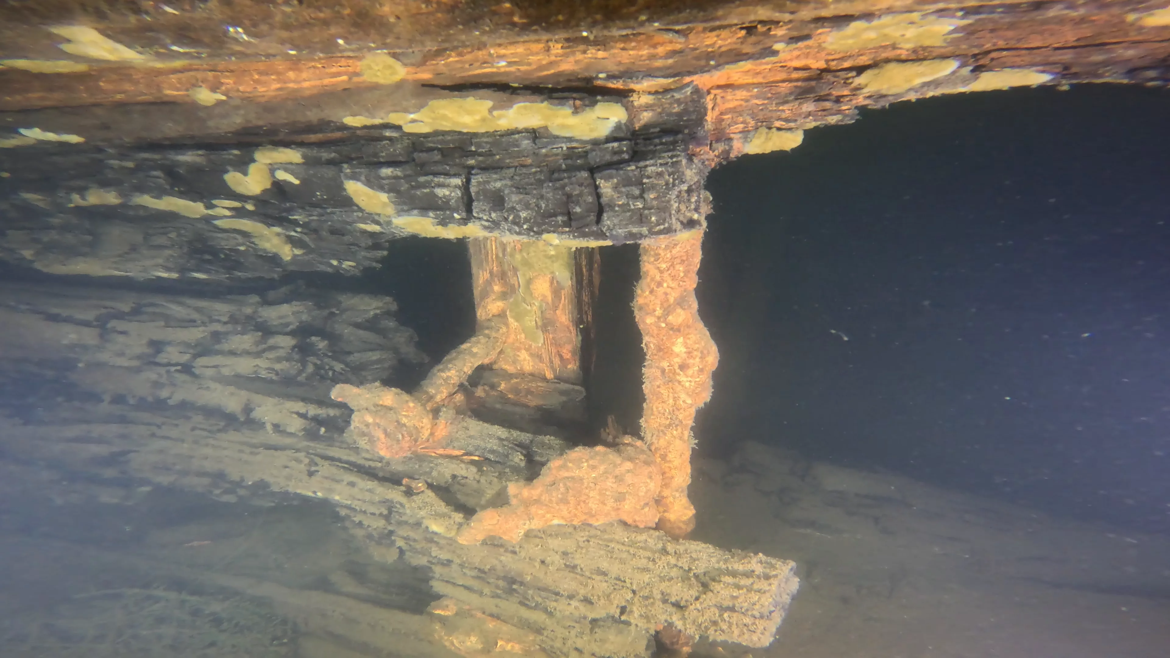 60' Wood Barge Wreck (LU032), Lake Union, Seattle, WA — main photo