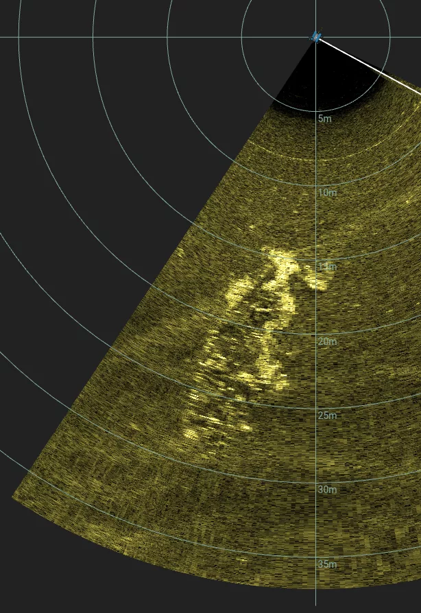 45' Collapsed Wooden Wreck (LU033), Lake Union, Seattle, WA — side-scan sonar image 1 of 2