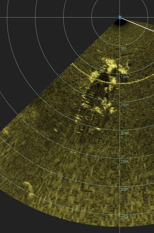 45' Collapsed Wooden Wreck (LU033), Lake Union, Seattle, WA — side-scan sonar image 2 of 2