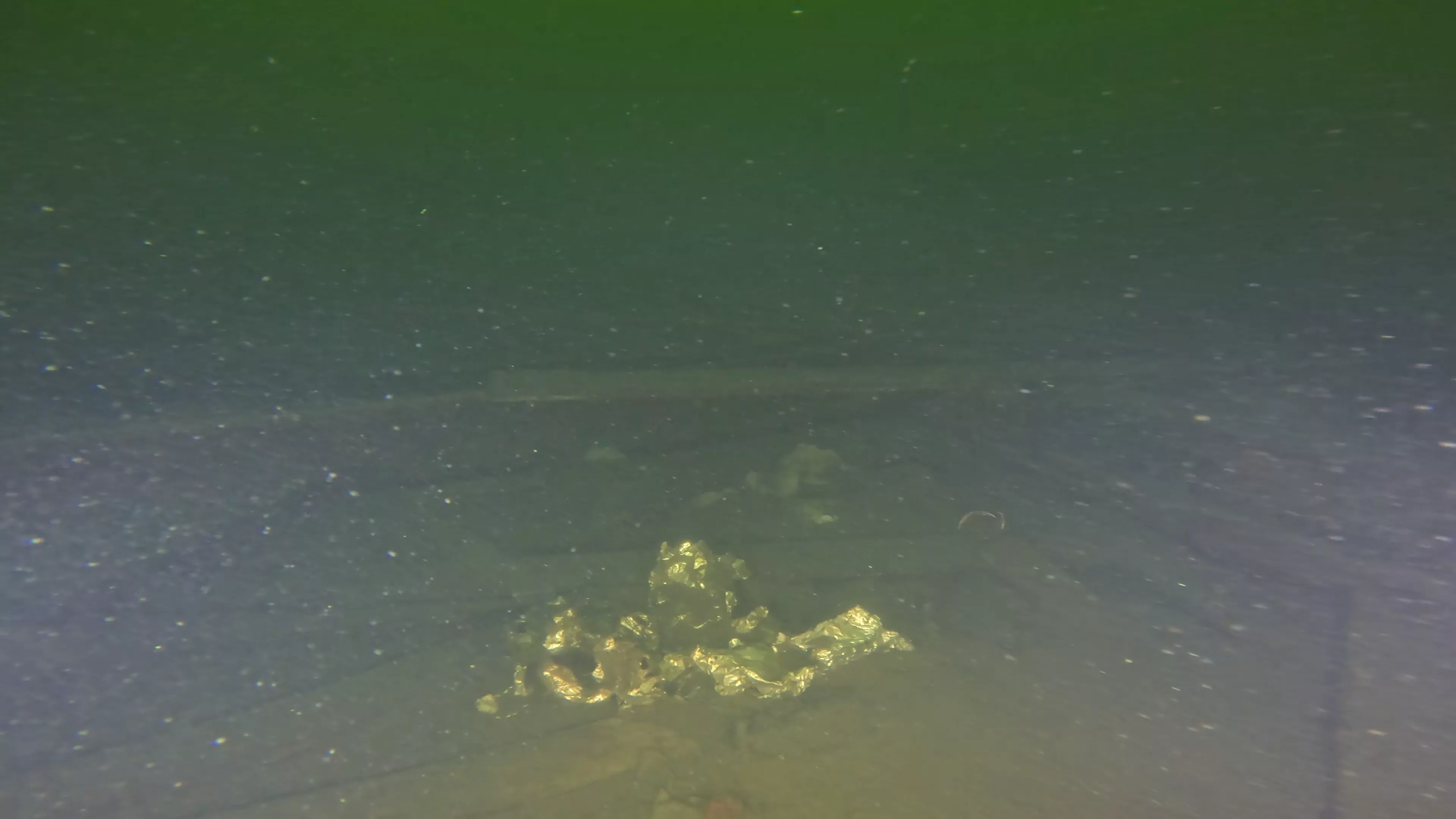 45' Collapsed Wooden Wreck (LU033), Lake Union, Seattle, WA — photo 3 of 19