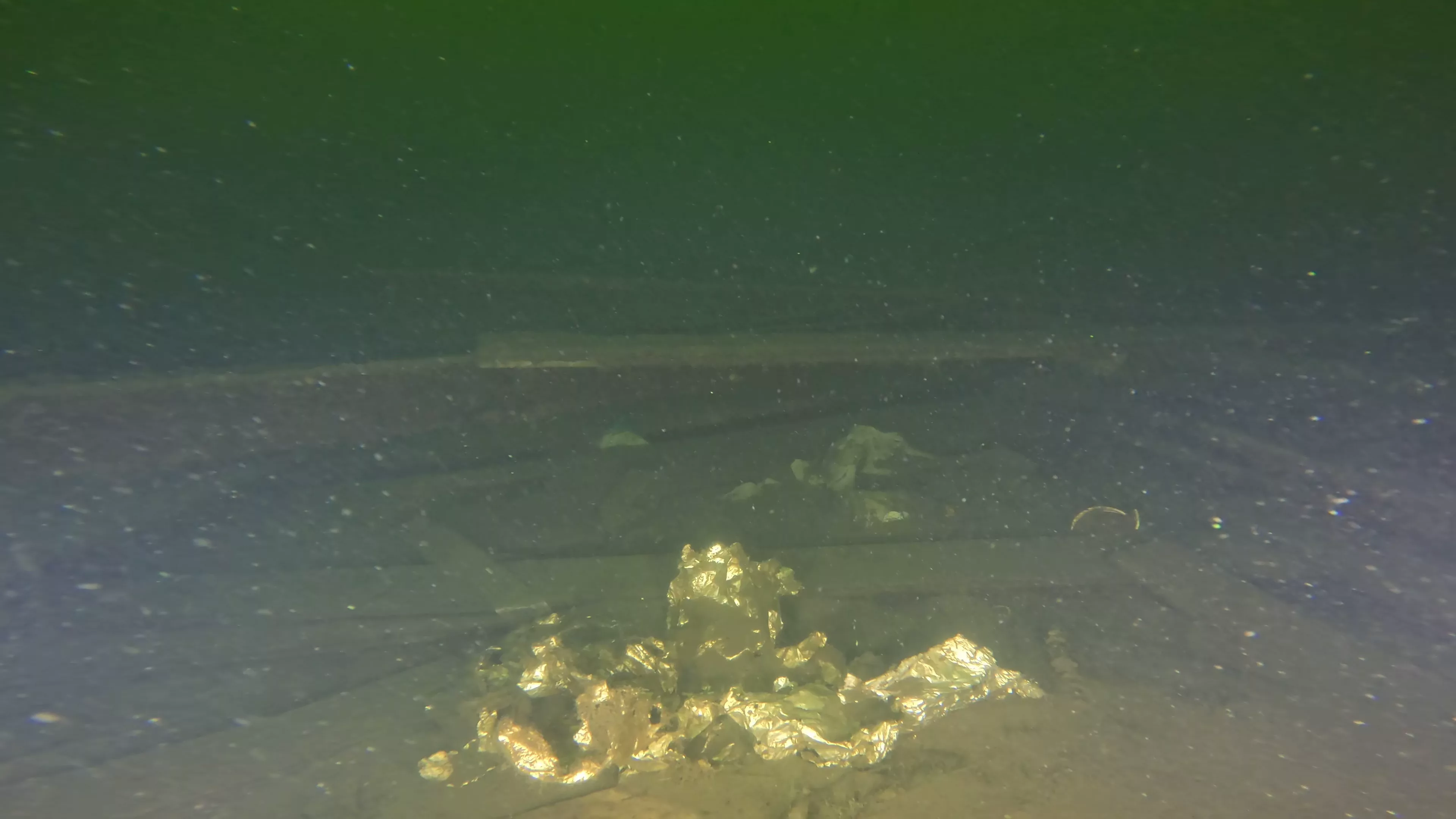 45' Collapsed Wooden Wreck (LU033), Lake Union, Seattle, WA — photo 4 of 19