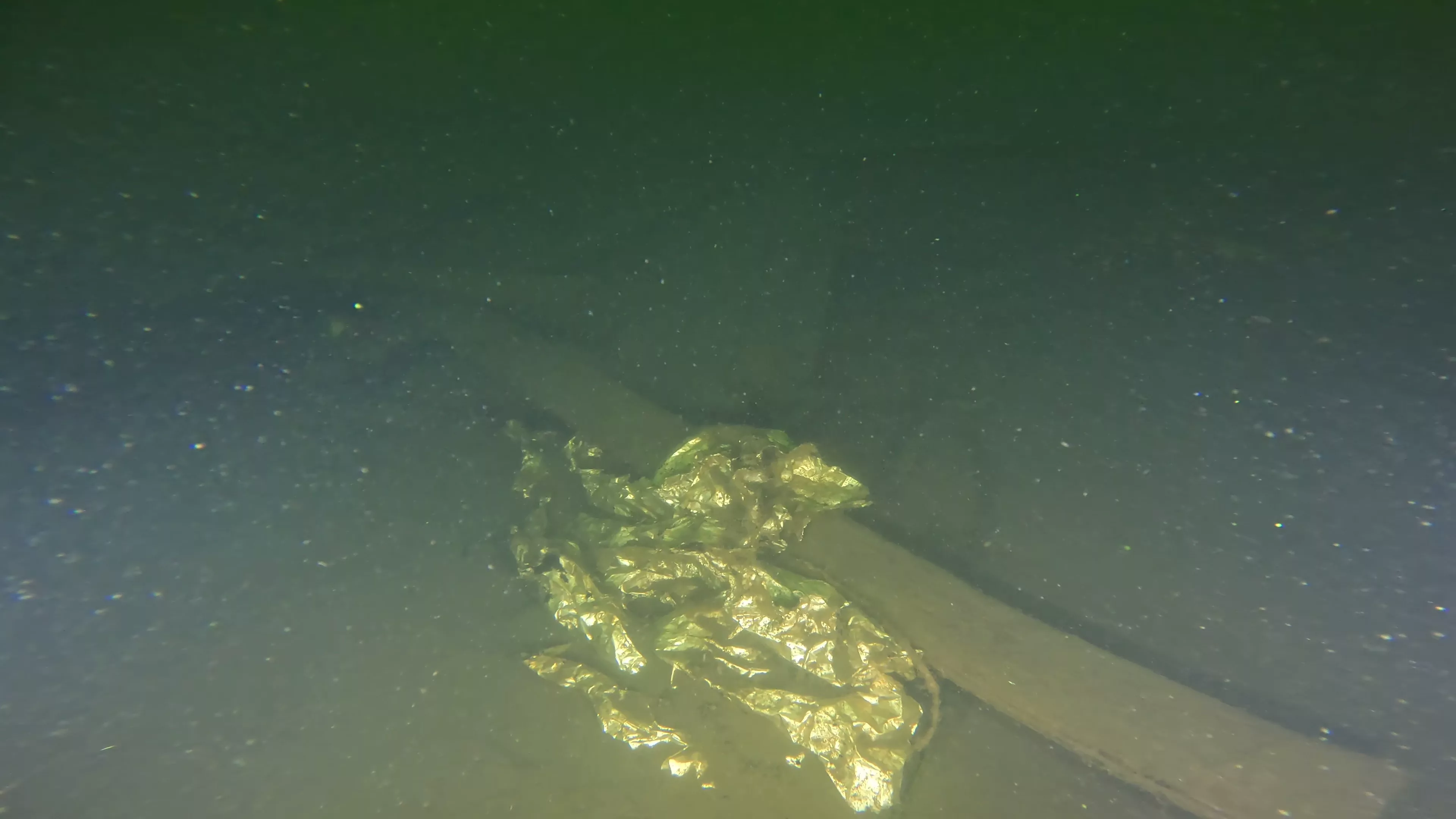 45' Collapsed Wooden Wreck (LU033), Lake Union, Seattle, WA — photo 5 of 19