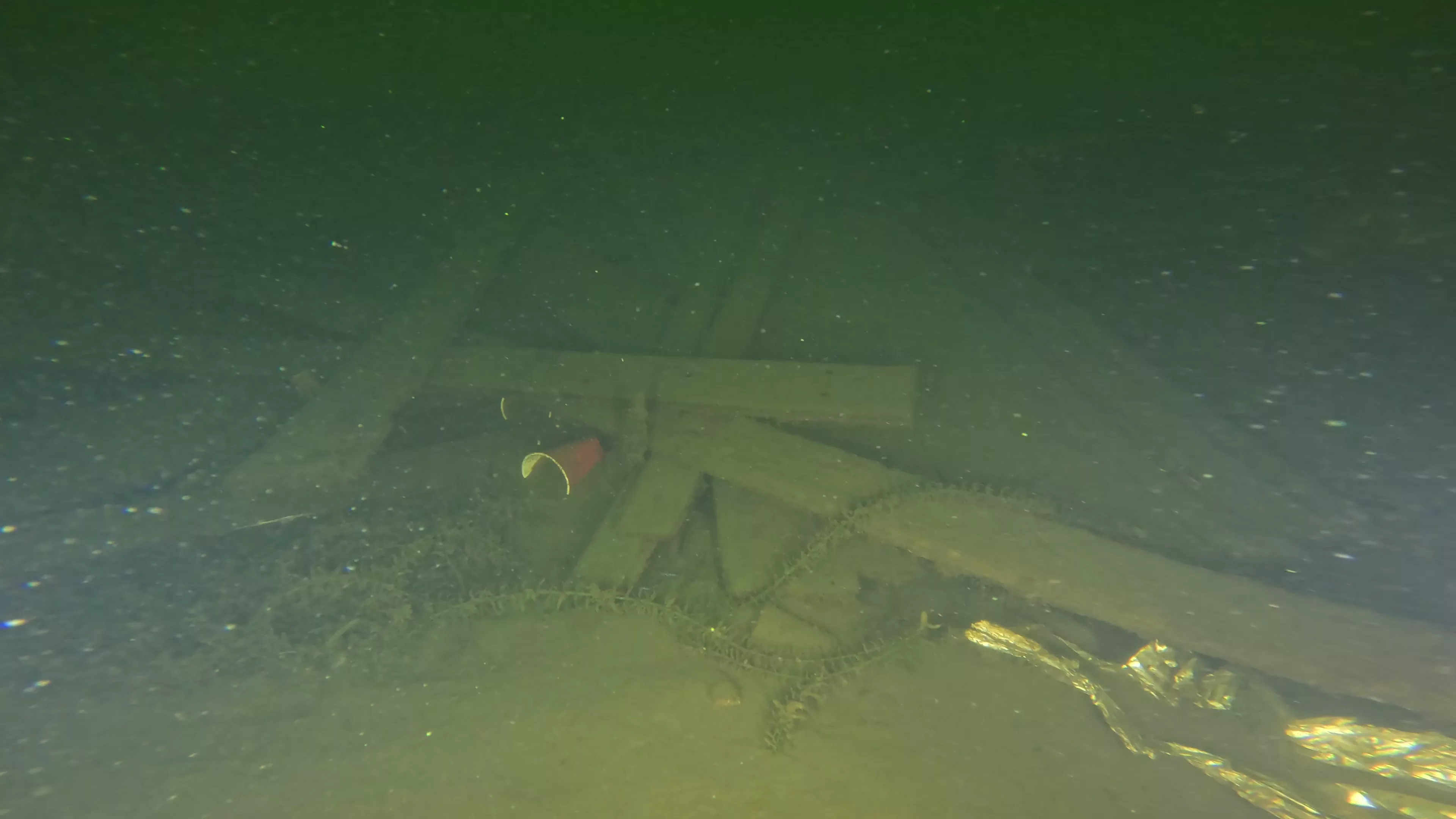 45' Collapsed Wooden Wreck (LU033), Lake Union, Seattle, WA — photo 6 of 19