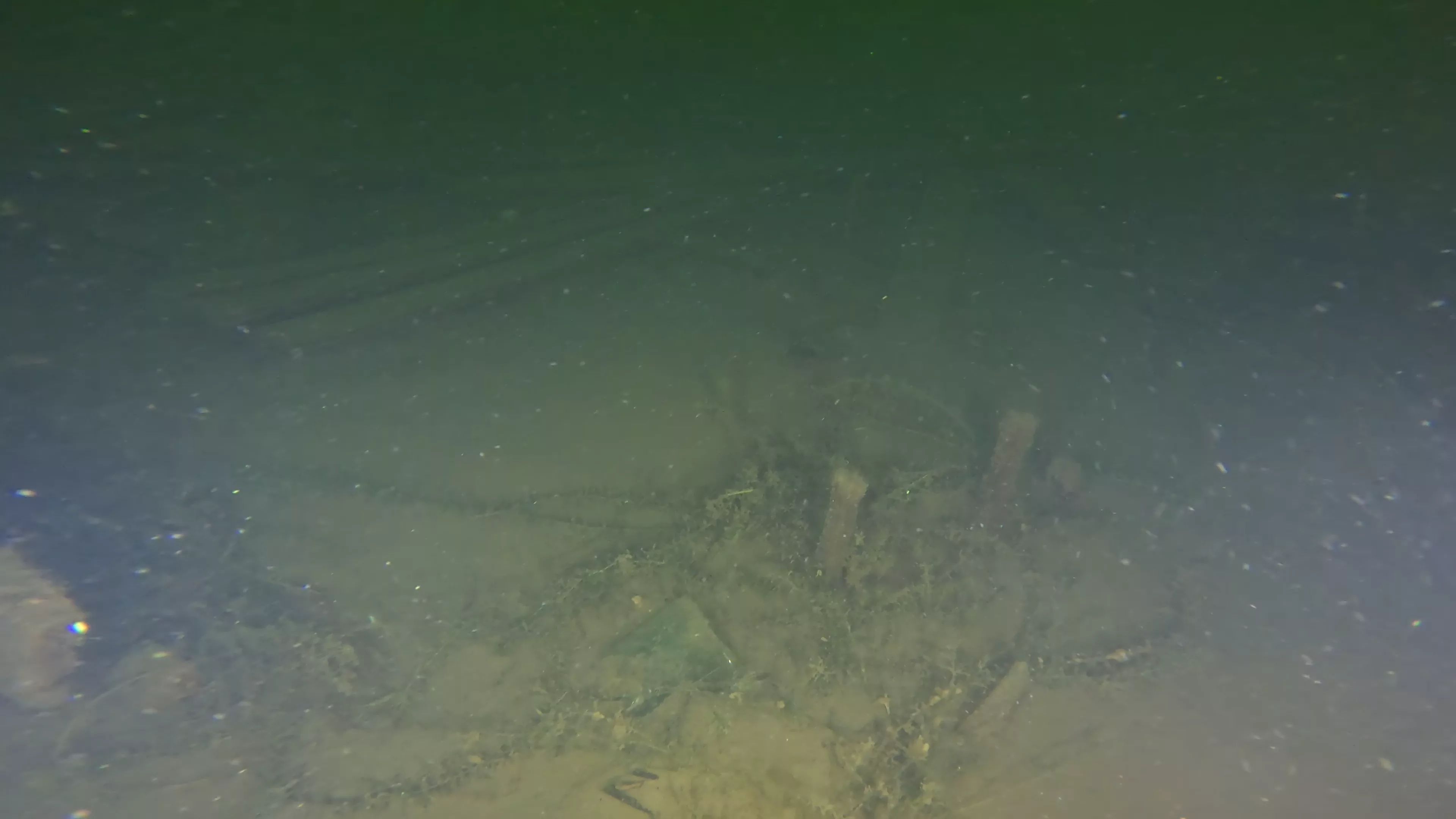 45' Collapsed Wooden Wreck (LU033), Lake Union, Seattle, WA — photo 8 of 19