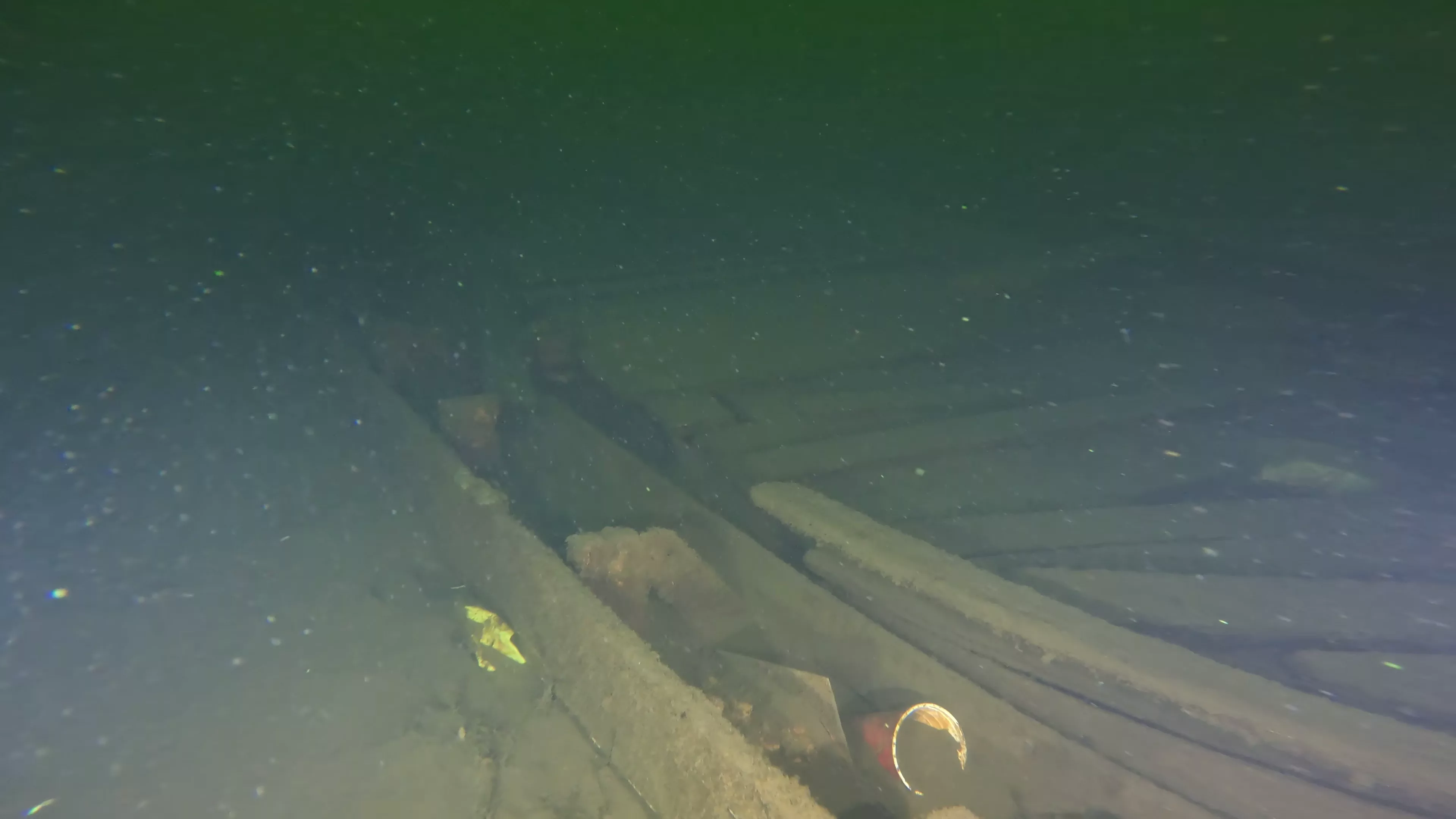 45' Collapsed Wooden Wreck (LU033), Lake Union, Seattle, WA — photo 11 of 19