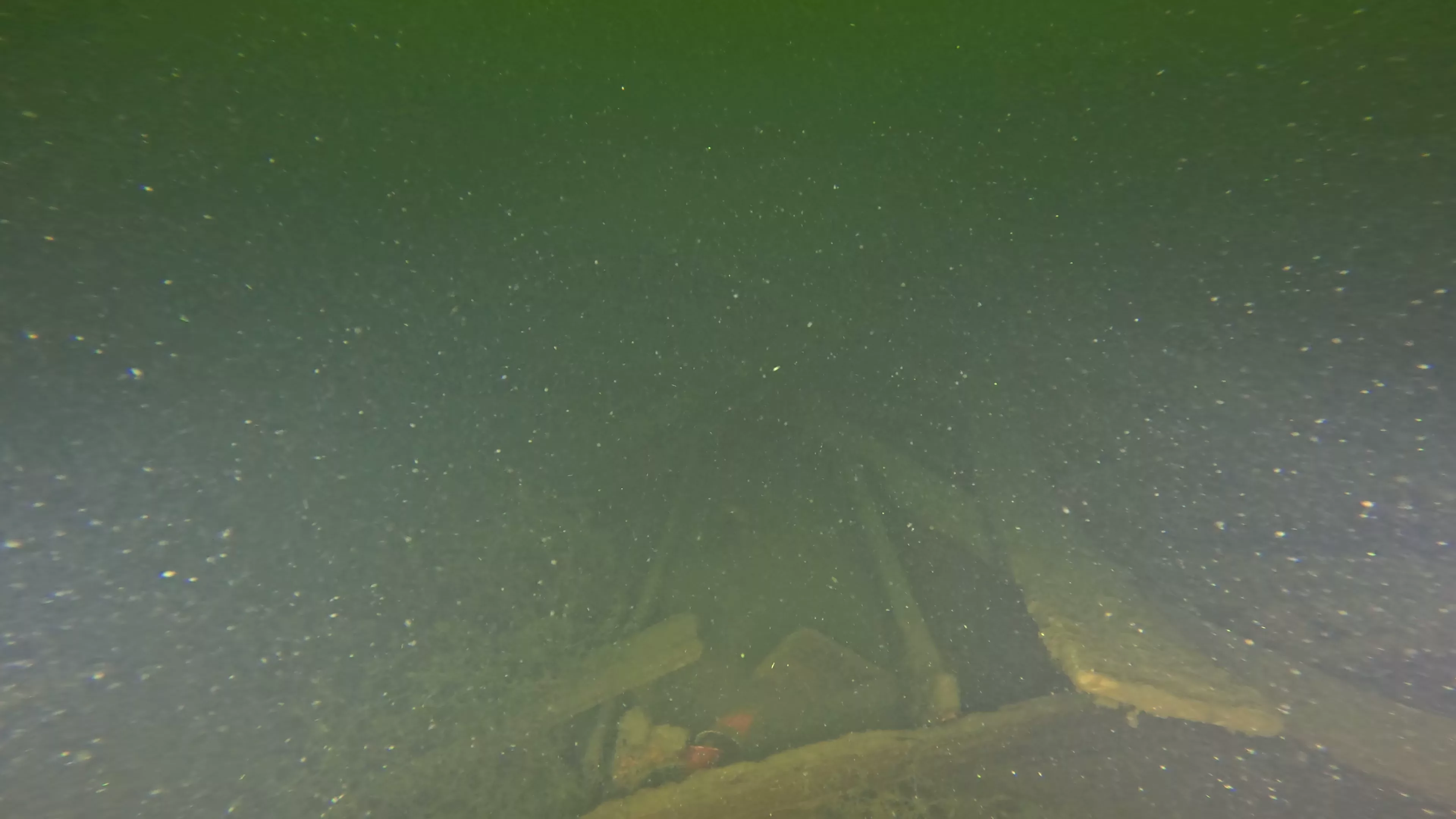 45' Collapsed Wooden Wreck (LU033), Lake Union, Seattle, WA — photo 12 of 19