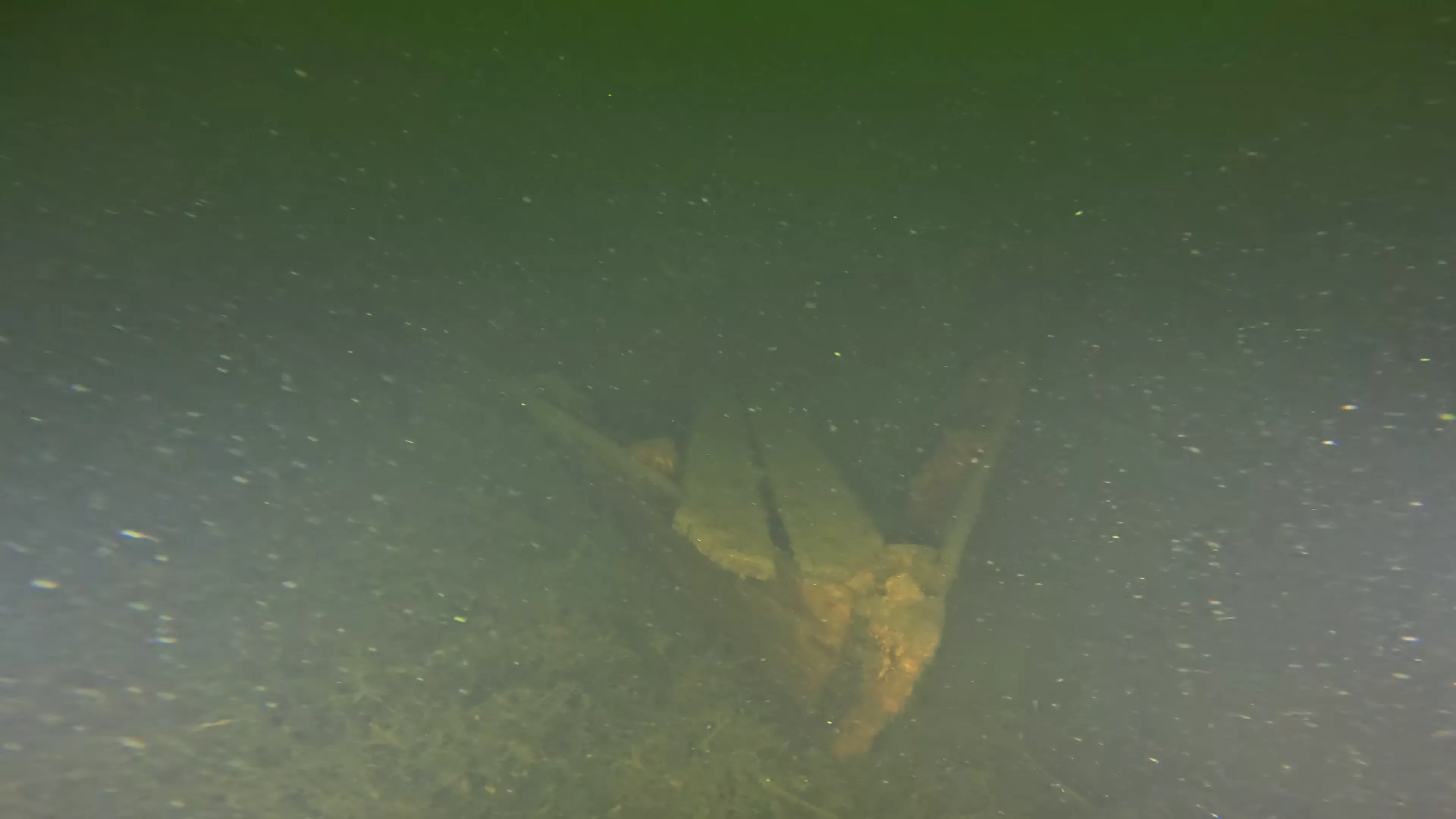 45' Collapsed Wooden Wreck (LU033), Lake Union, Seattle, WA — photo 19 of 19