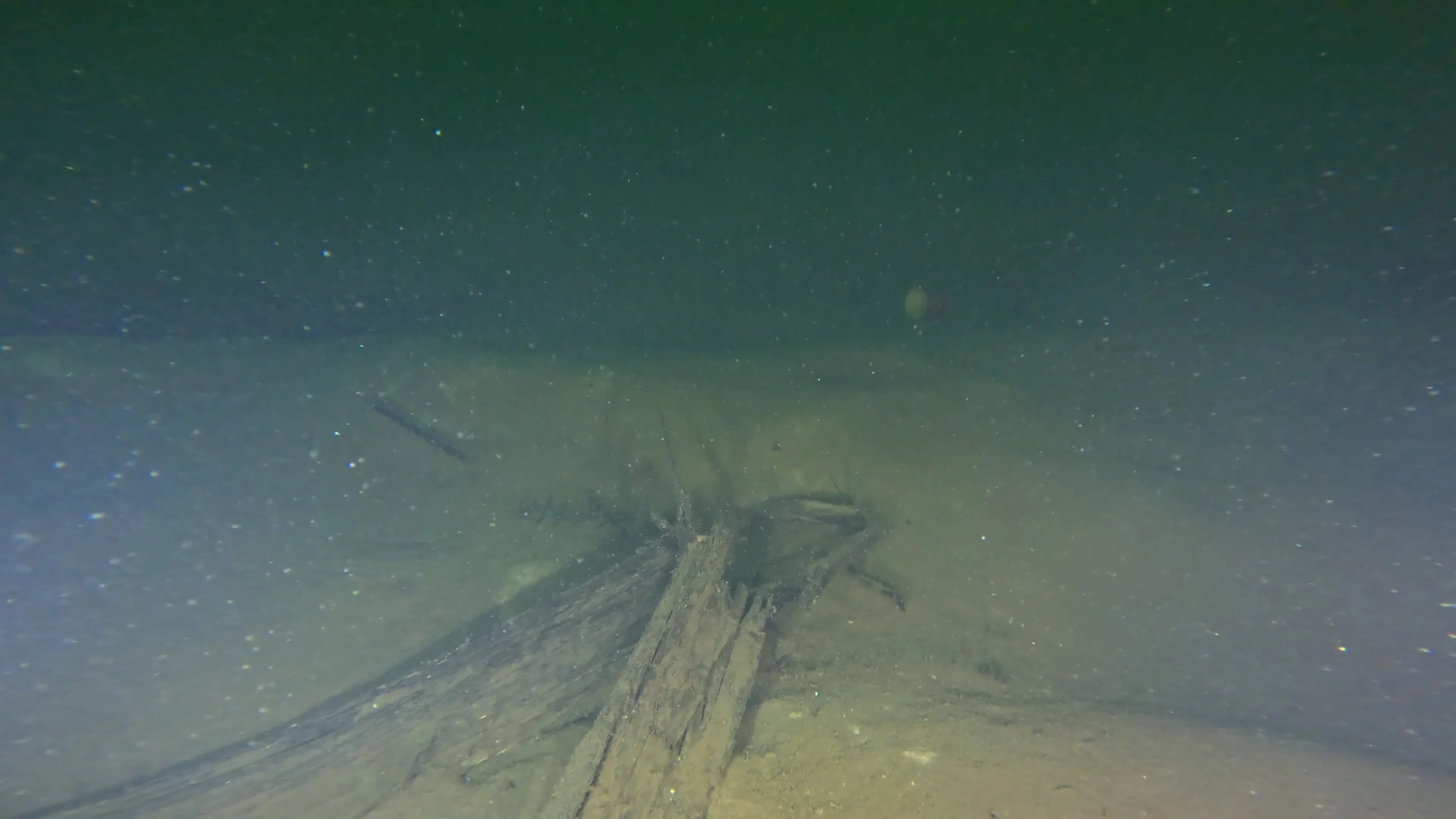 Rope & Metal Debris Field (LU036), Lake Union, Seattle, WA — photo 20 of 22