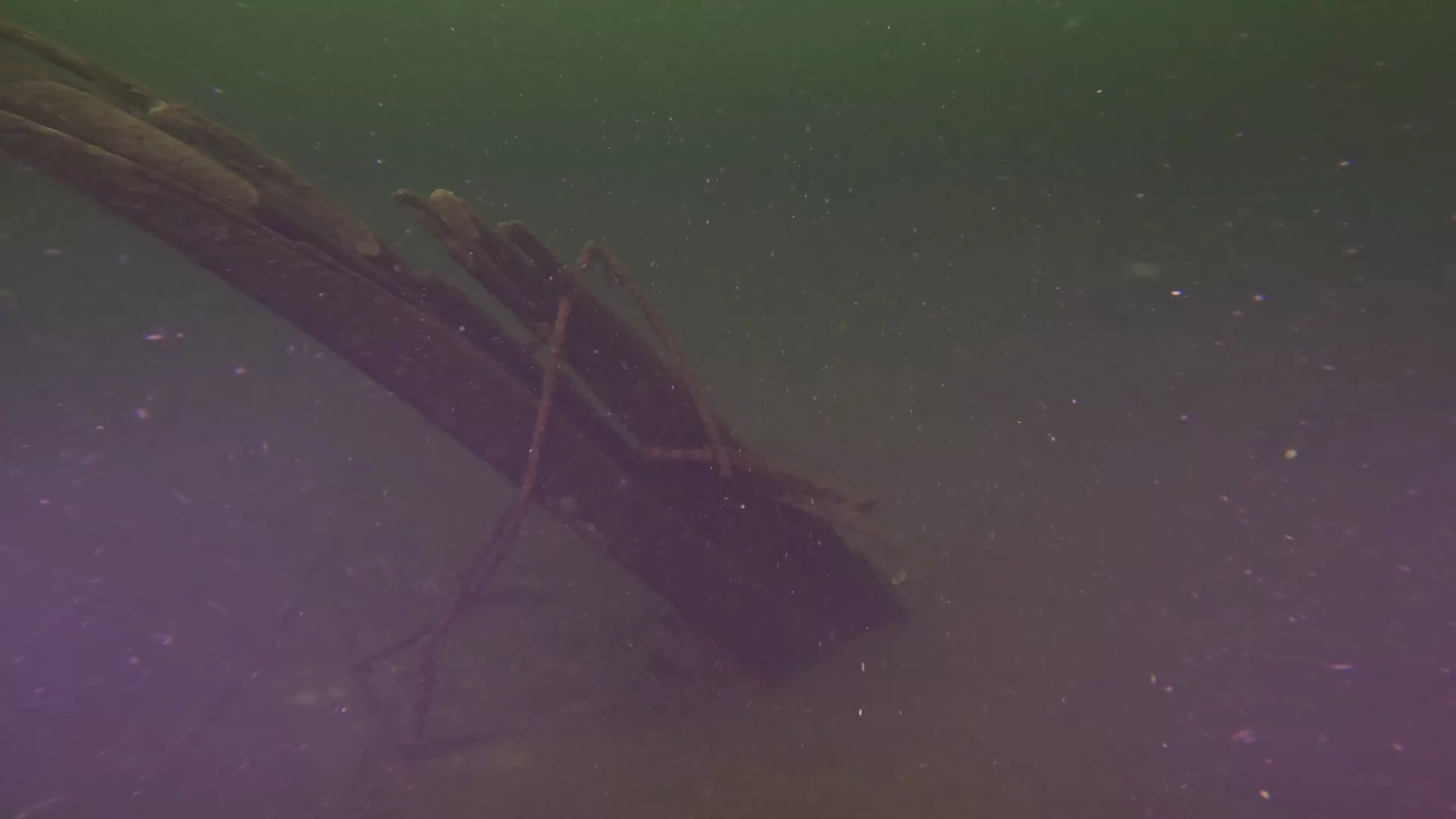 Timber & Anchor Debris (LU043), Lake Union, Seattle, WA — photo 2 of 21