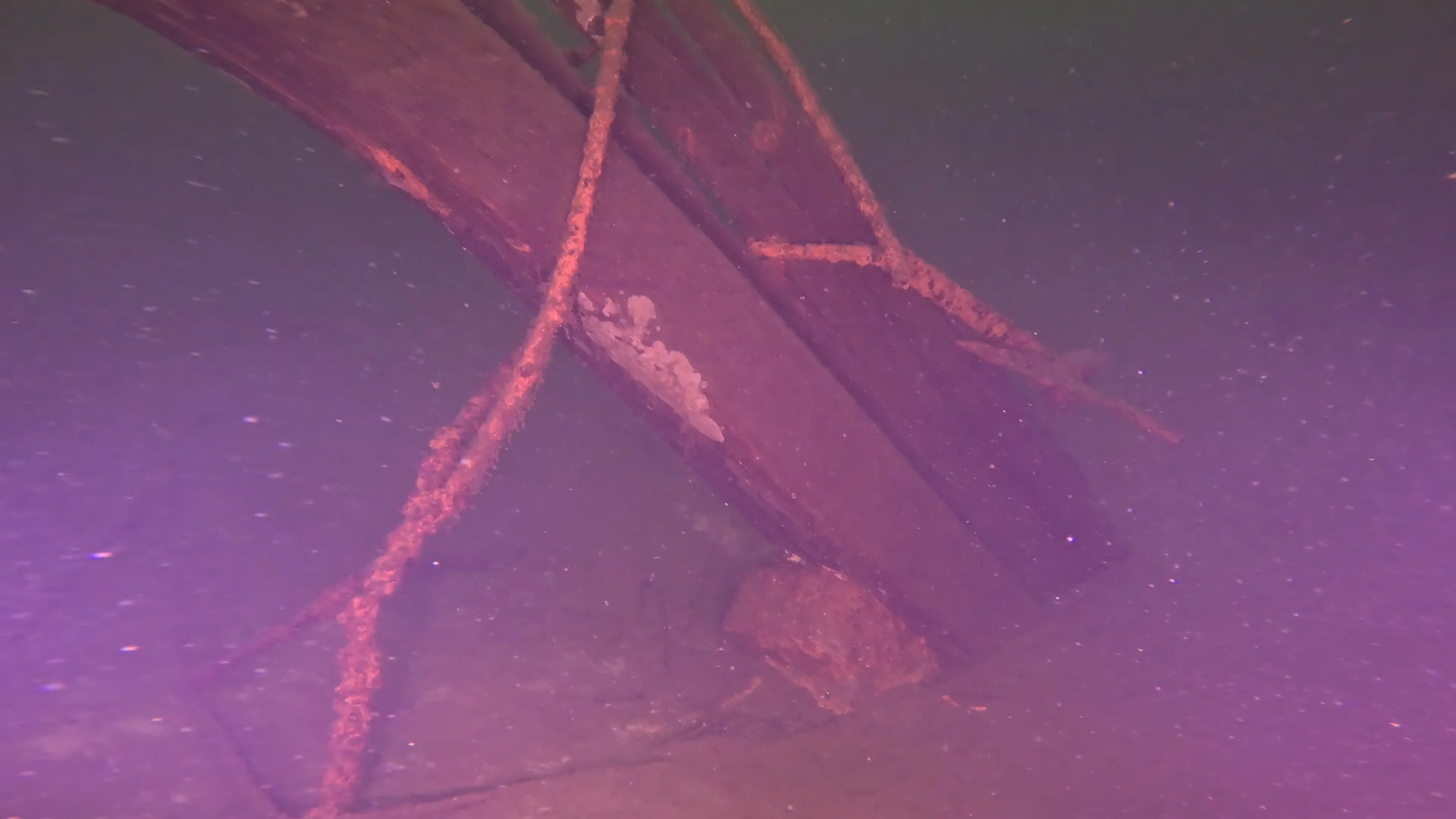Timber & Anchor Debris (LU043), Lake Union, Seattle, WA — photo 3 of 21