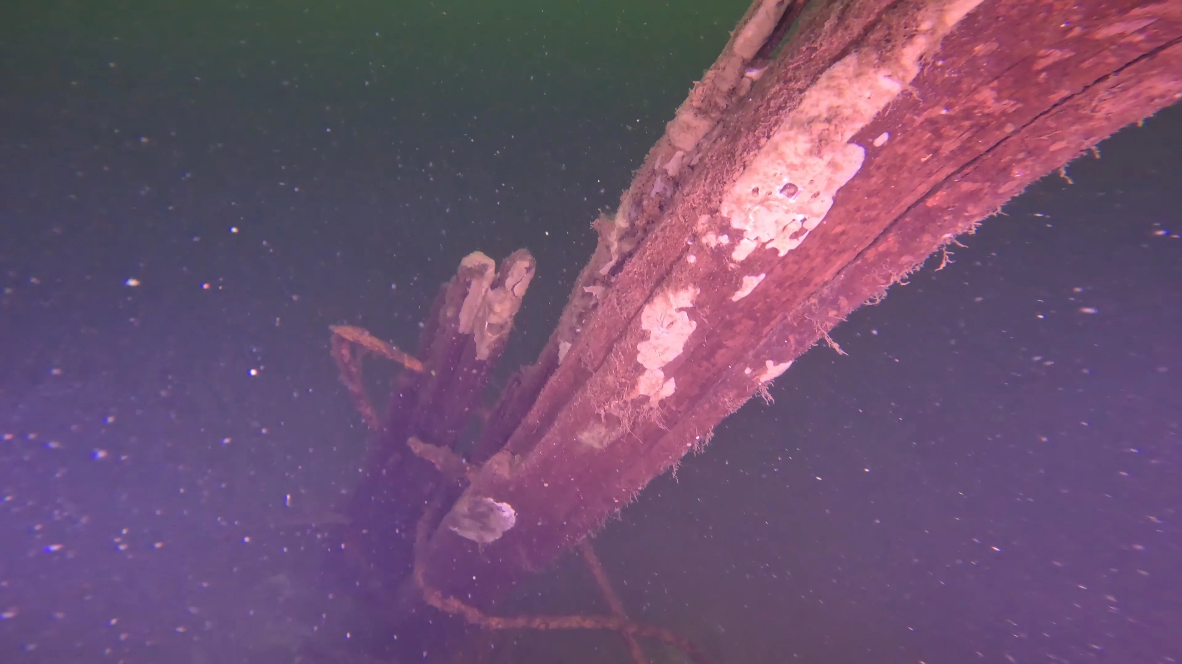 Timber & Anchor Debris (LU043), Lake Union, Seattle, WA — photo 5 of 21