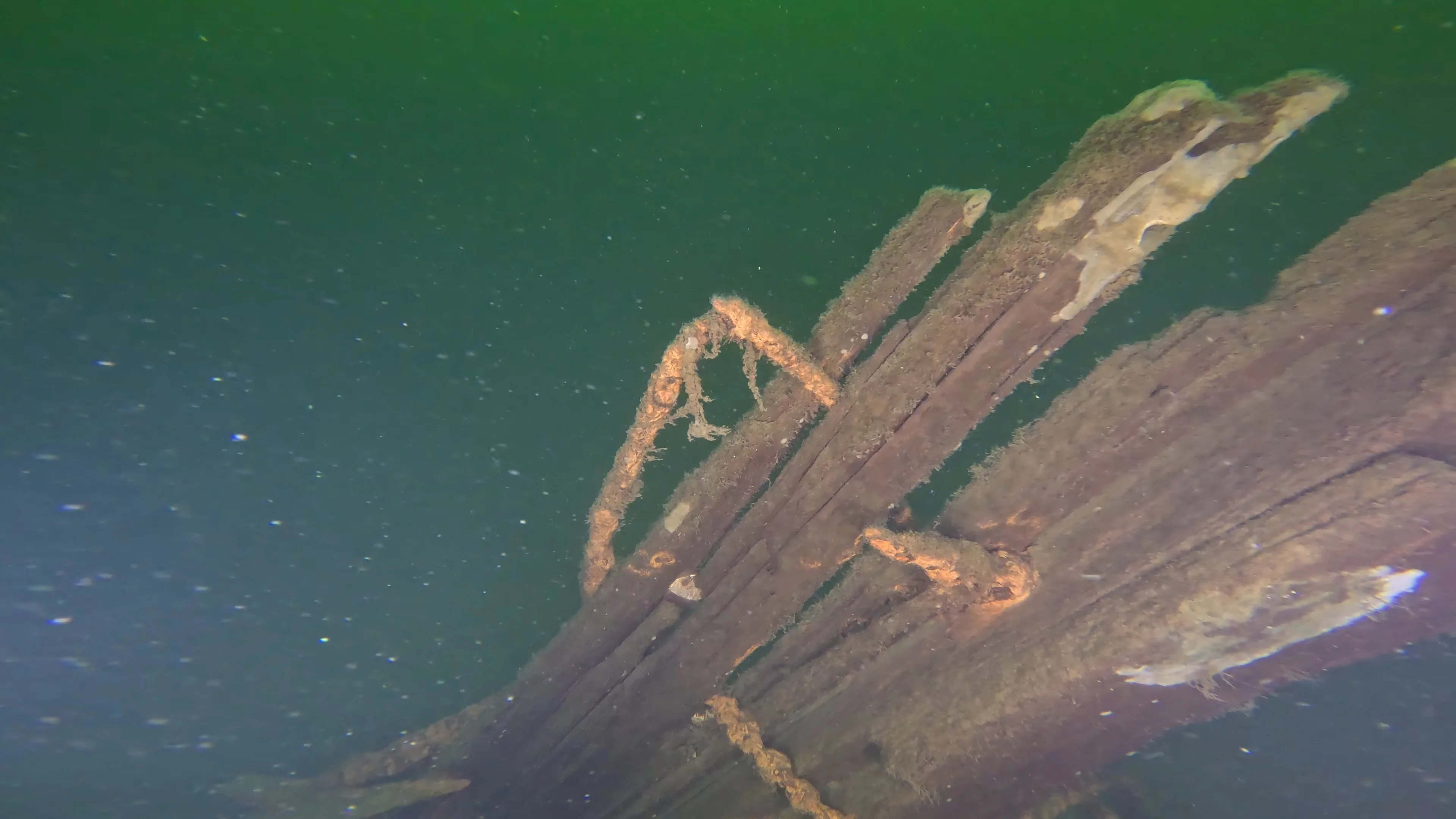 Timber & Anchor Debris (LU043), Lake Union, Seattle, WA — photo 6 of 21