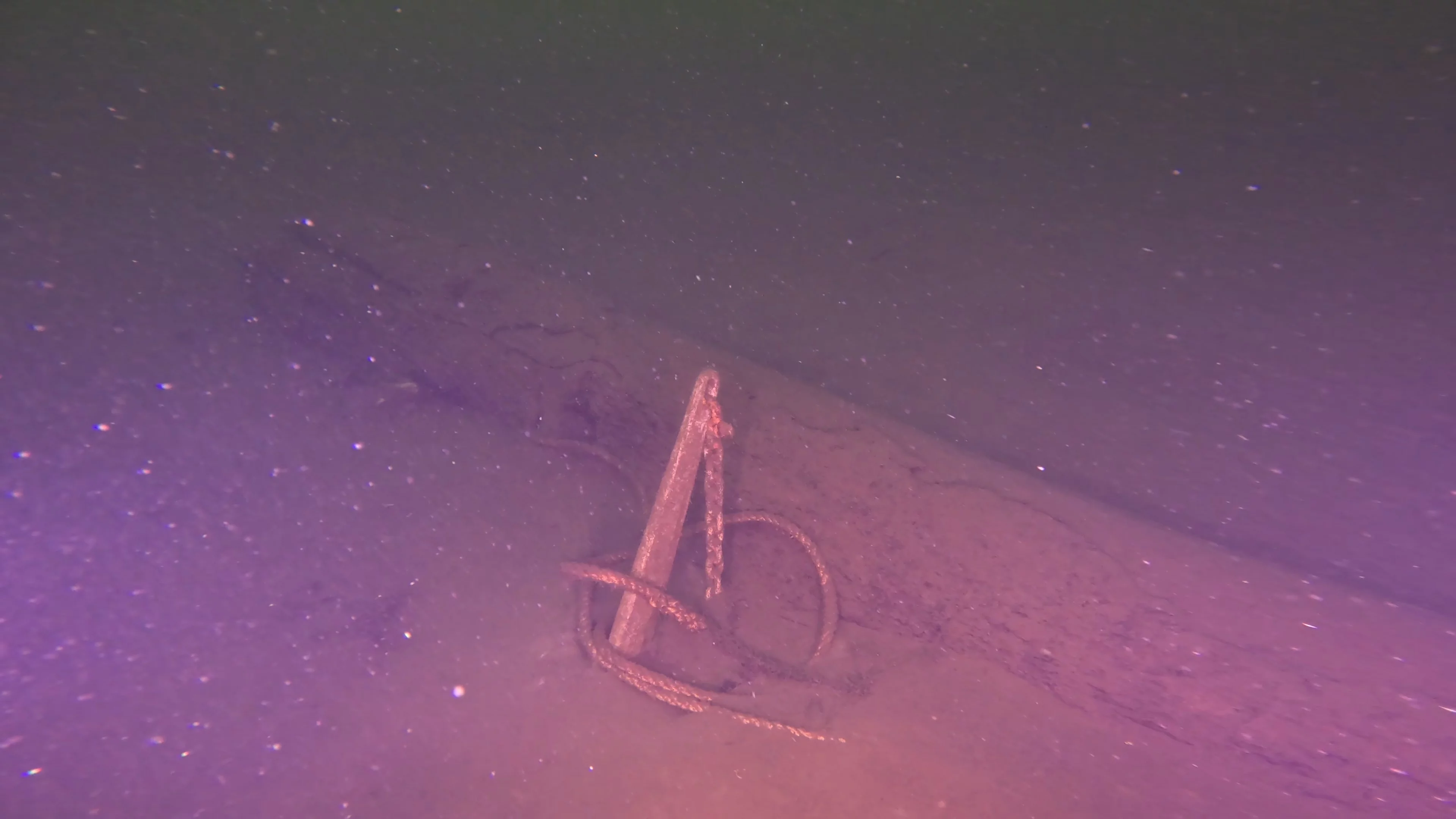 Timber & Anchor Debris (LU043), Lake Union, Seattle, WA — photo 10 of 21