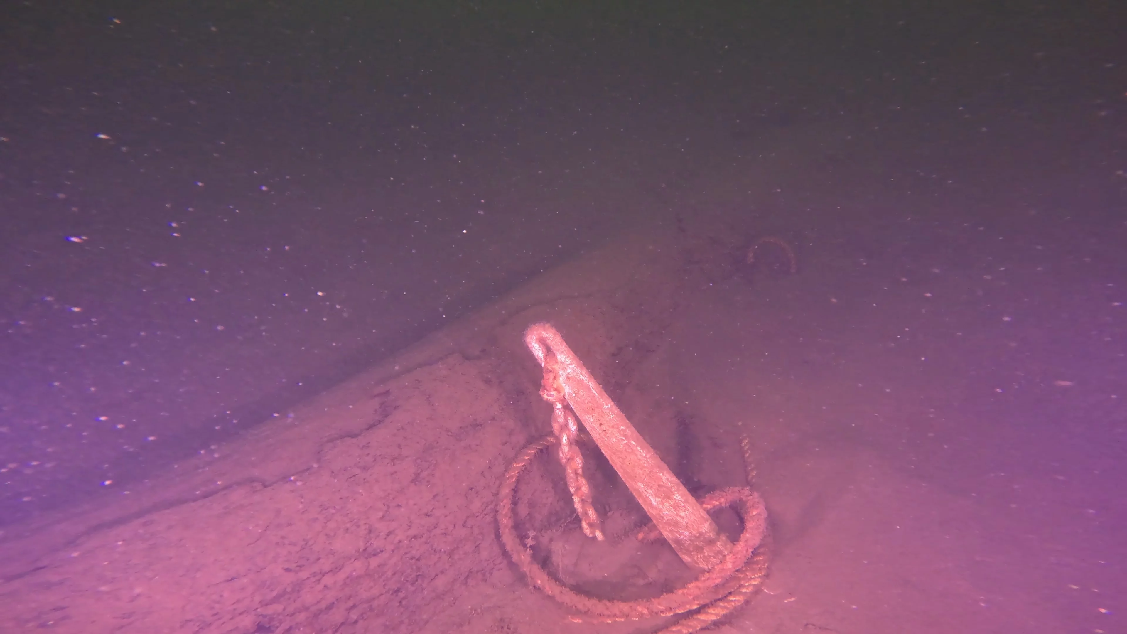 Timber & Anchor Debris (LU043), Lake Union, Seattle, WA — photo 11 of 21