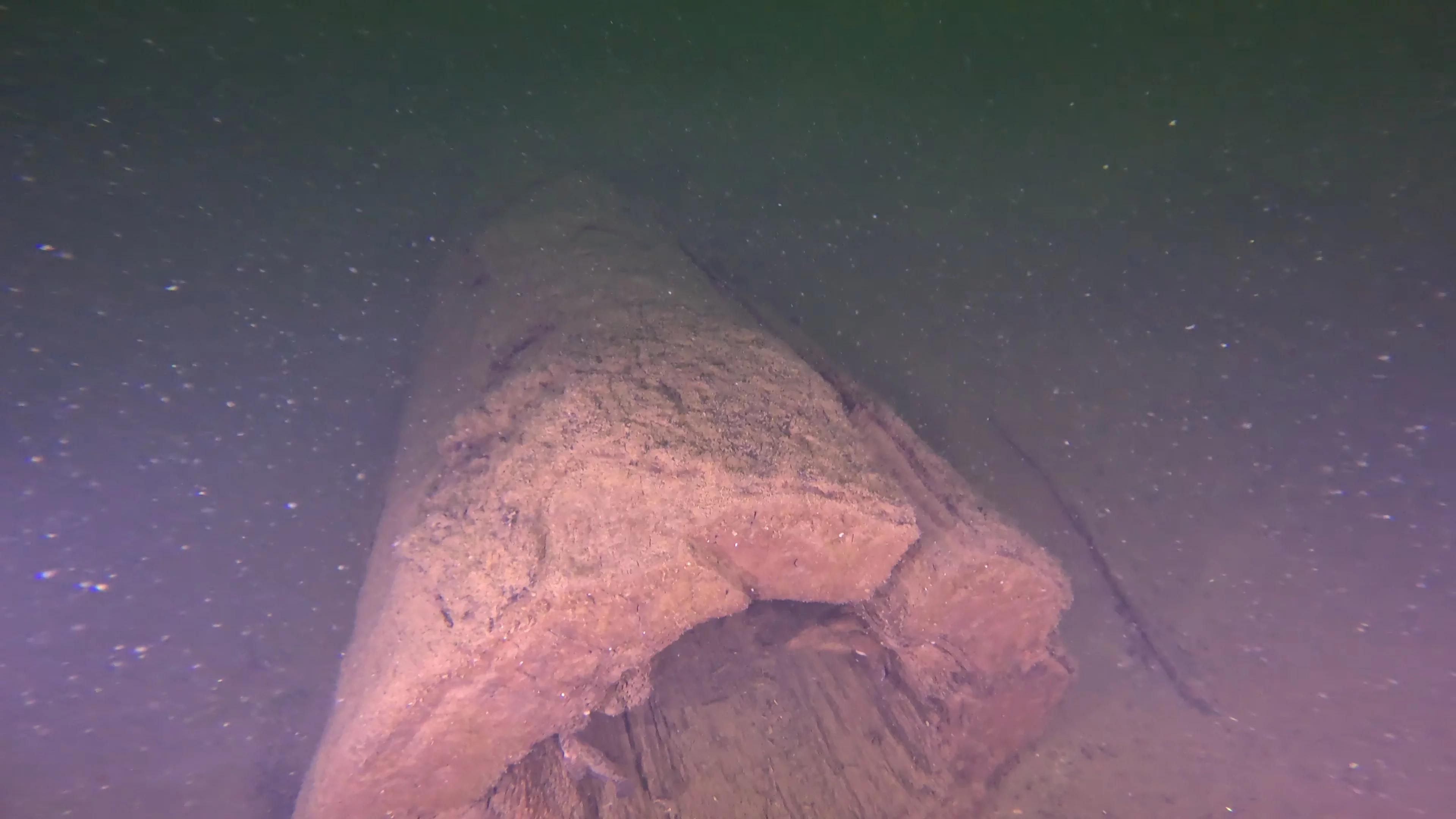 Timber & Anchor Debris (LU043), Lake Union, Seattle, WA — photo 12 of 21