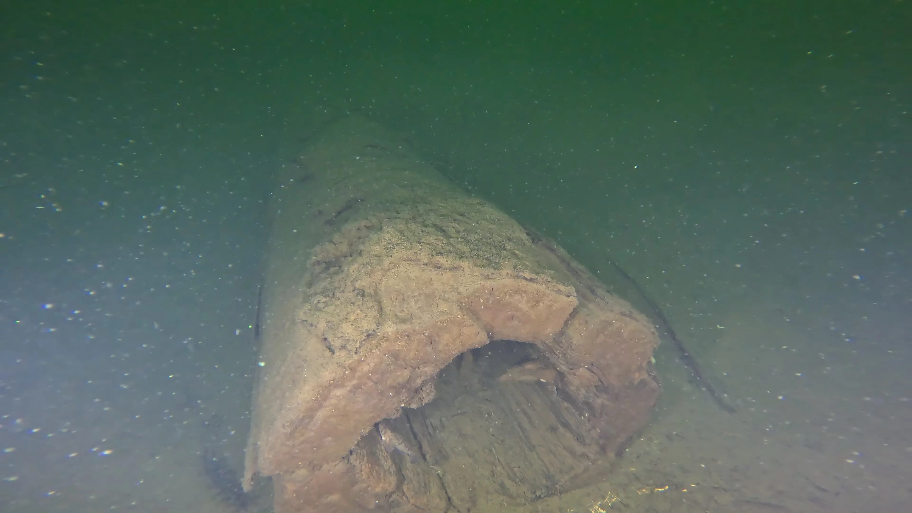 Timber & Anchor Debris (LU043), Lake Union, Seattle, WA — photo 13 of 21