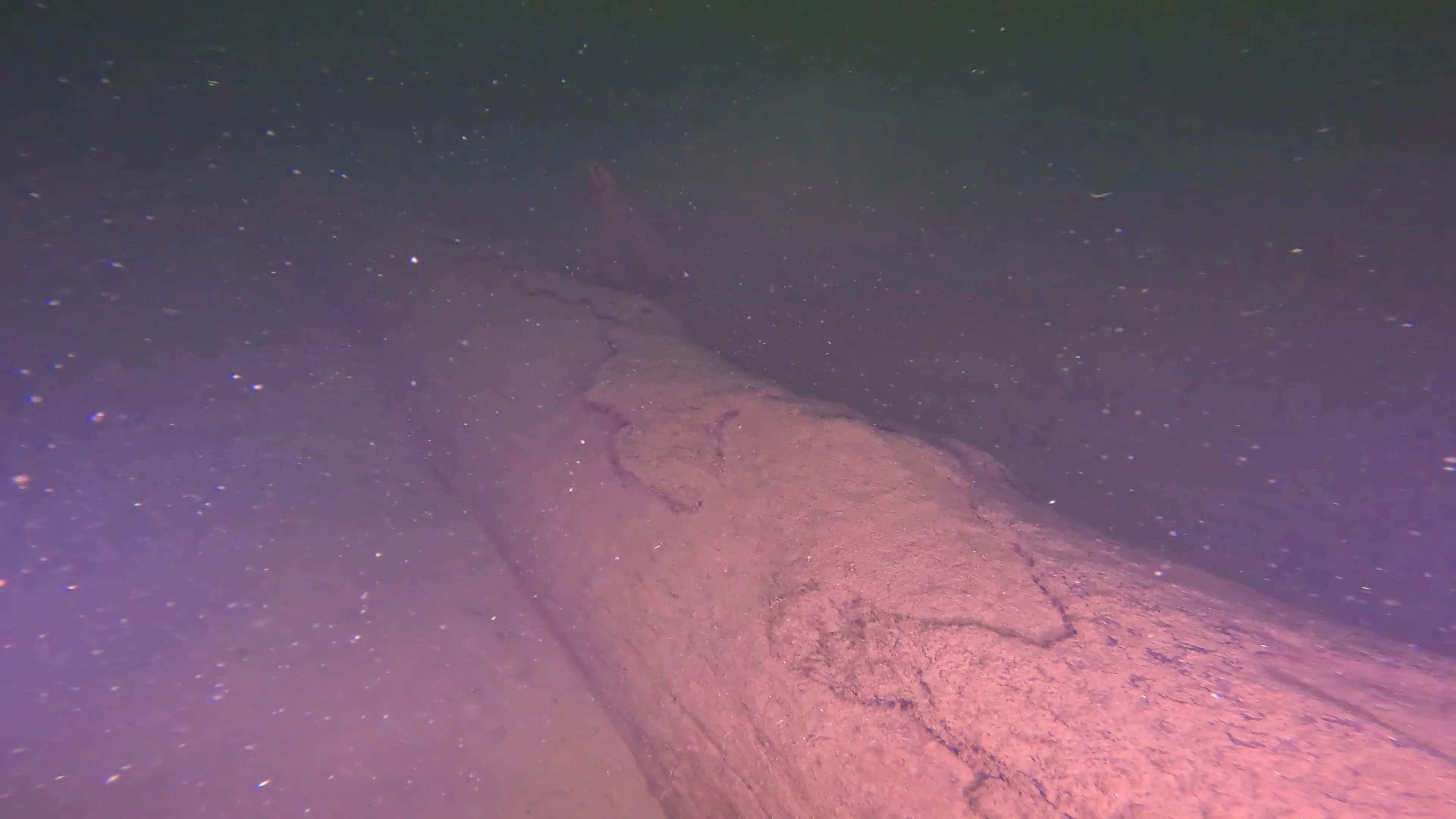Timber & Anchor Debris (LU043), Lake Union, Seattle, WA — photo 14 of 21