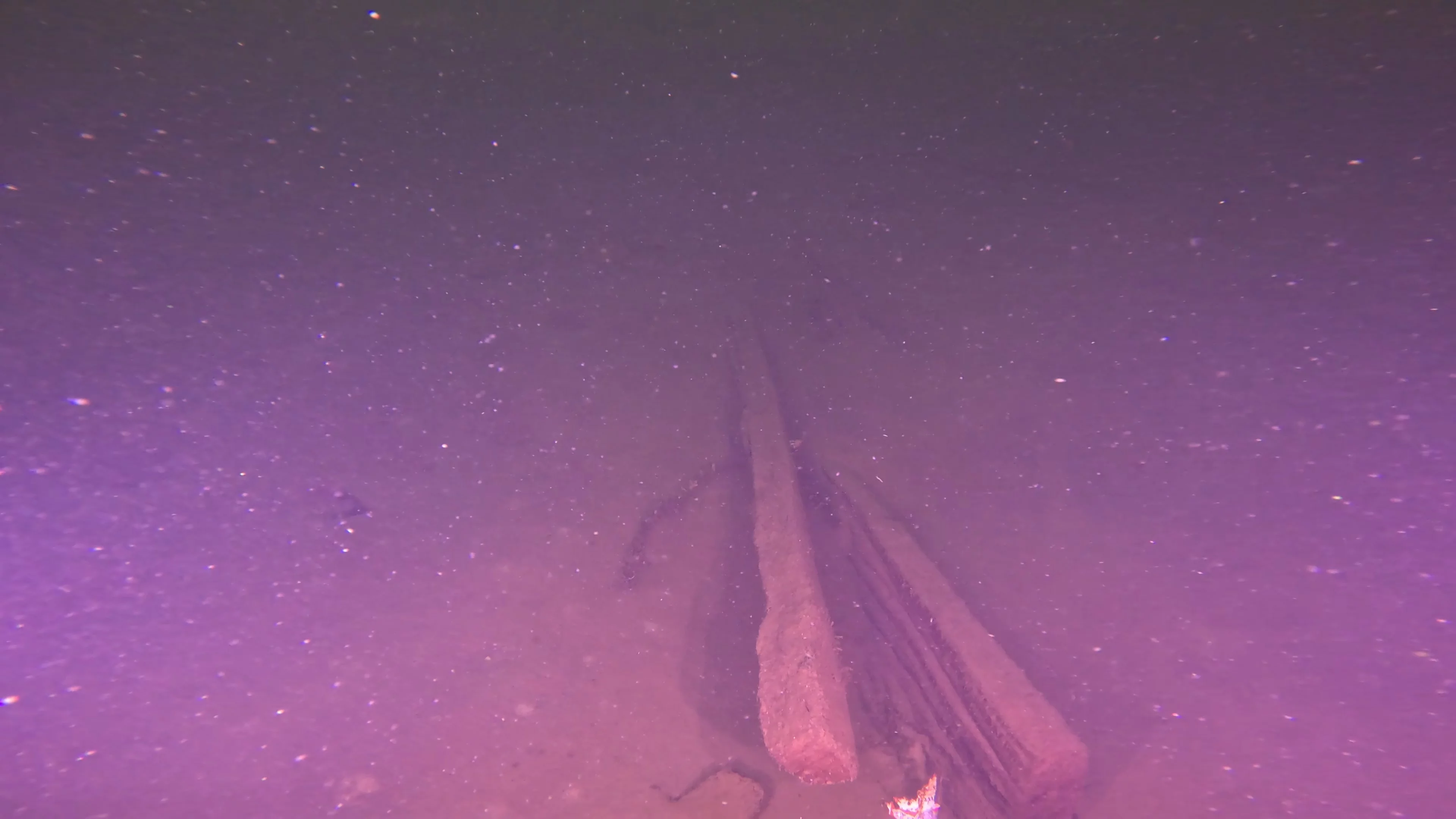Timber & Anchor Debris (LU043), Lake Union, Seattle, WA — photo 16 of 21