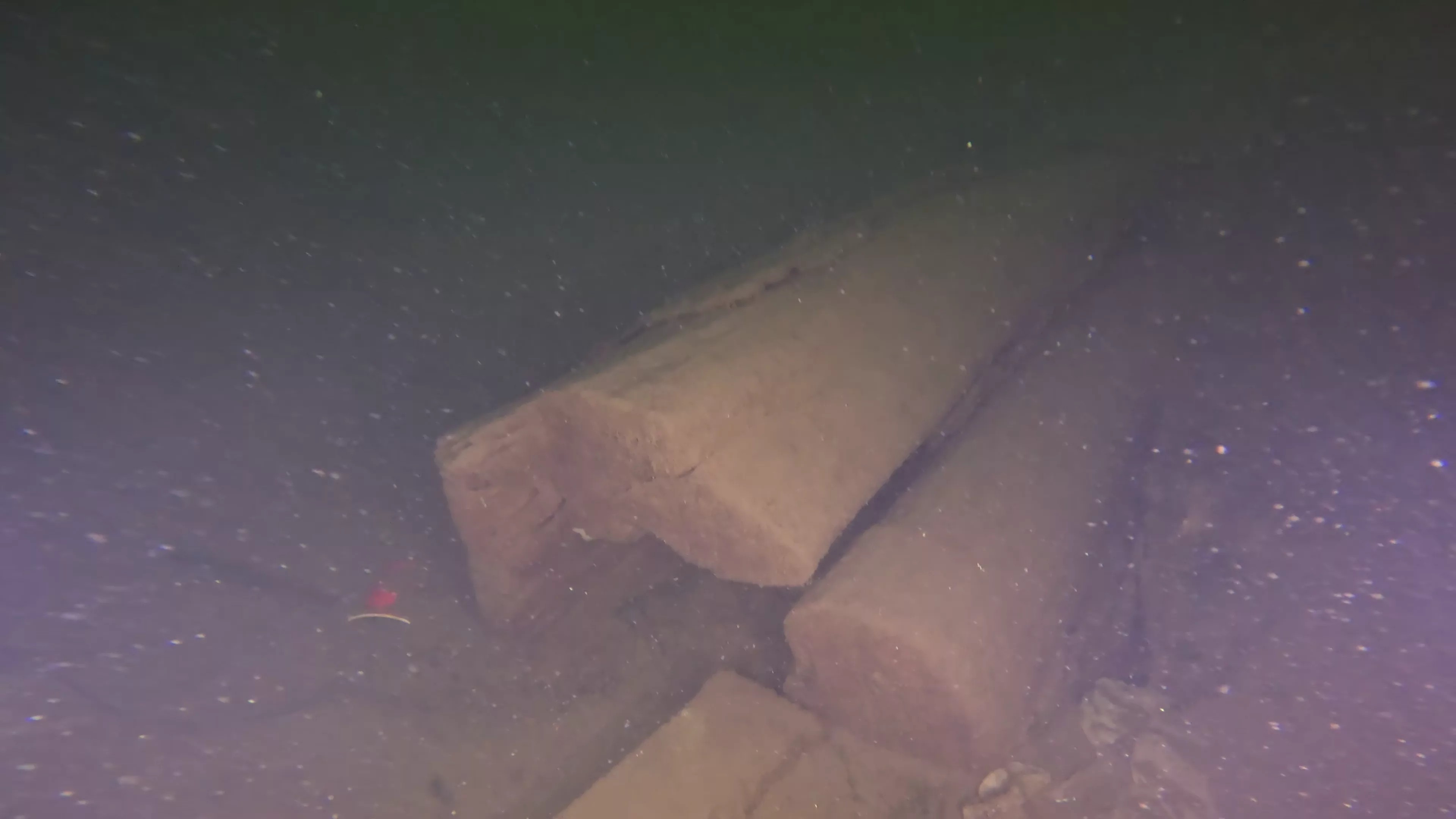 Log Debris (LU044), Lake Union, Seattle, WA — photo 1 of 14