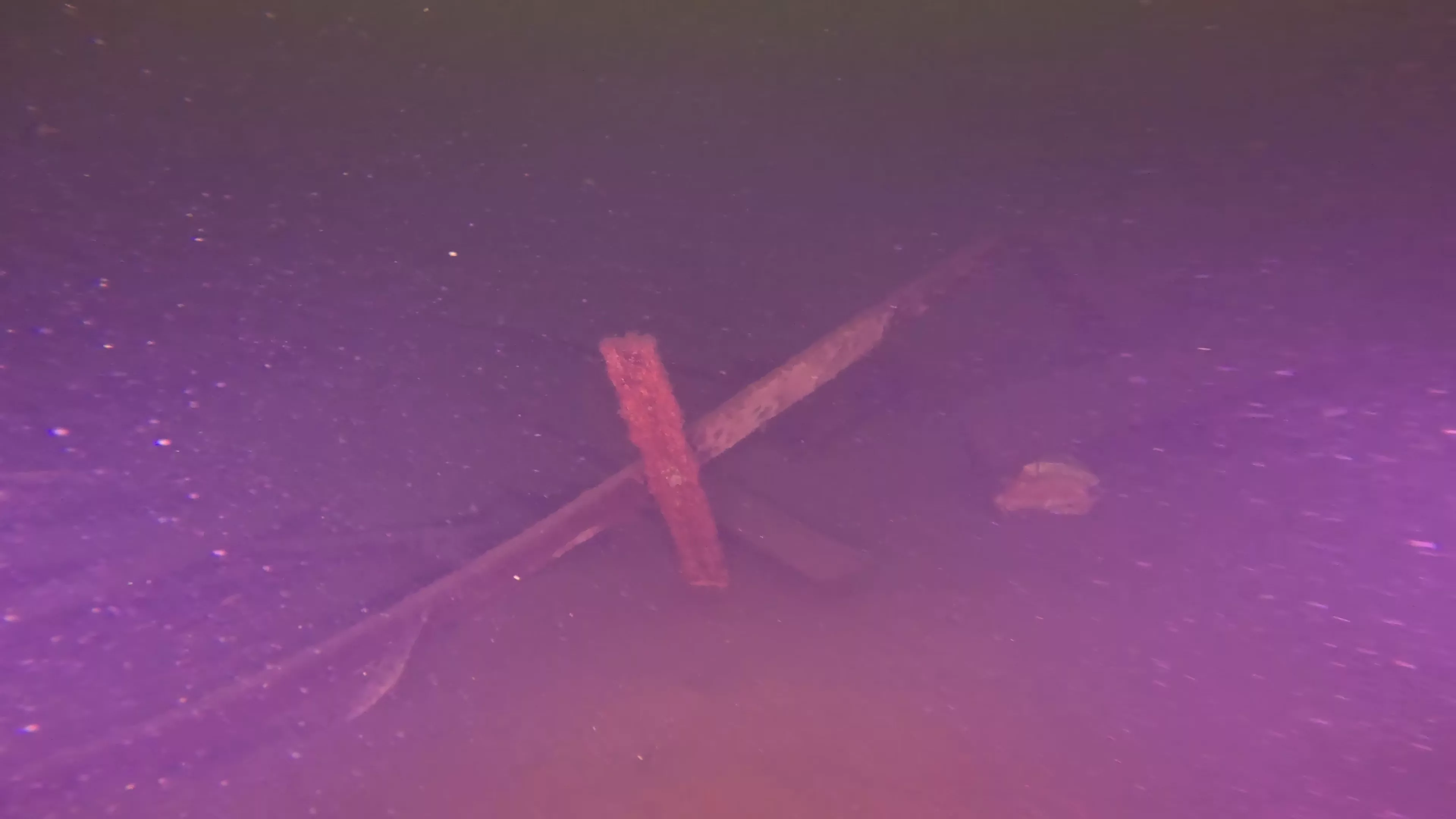 Collapsed Wood Shipwreck (LU045), Lake Union, Seattle, WA — photo 7 of 14