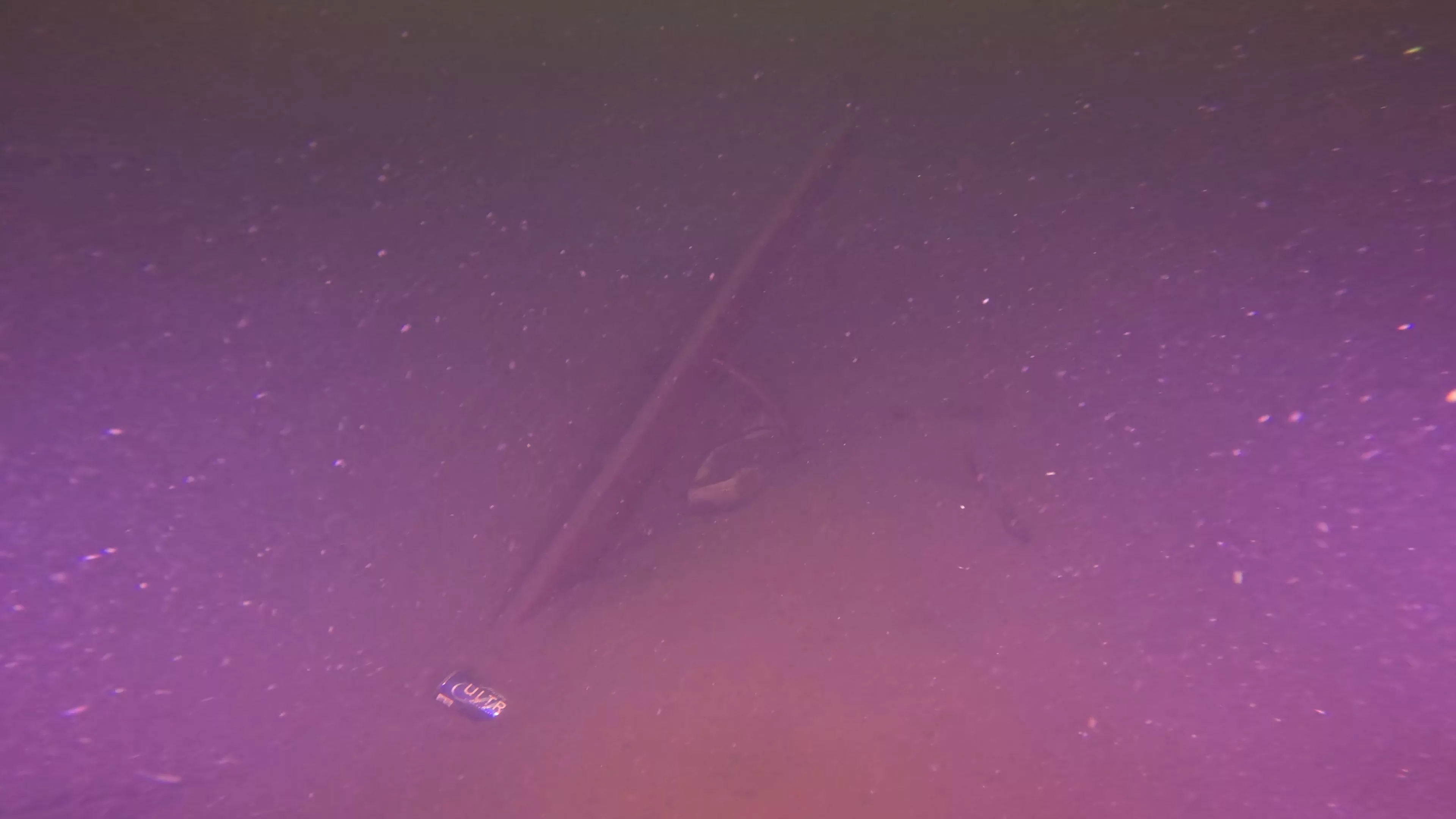 Collapsed Wood Shipwreck (LU045), Lake Union, Seattle, WA — photo 13 of 14