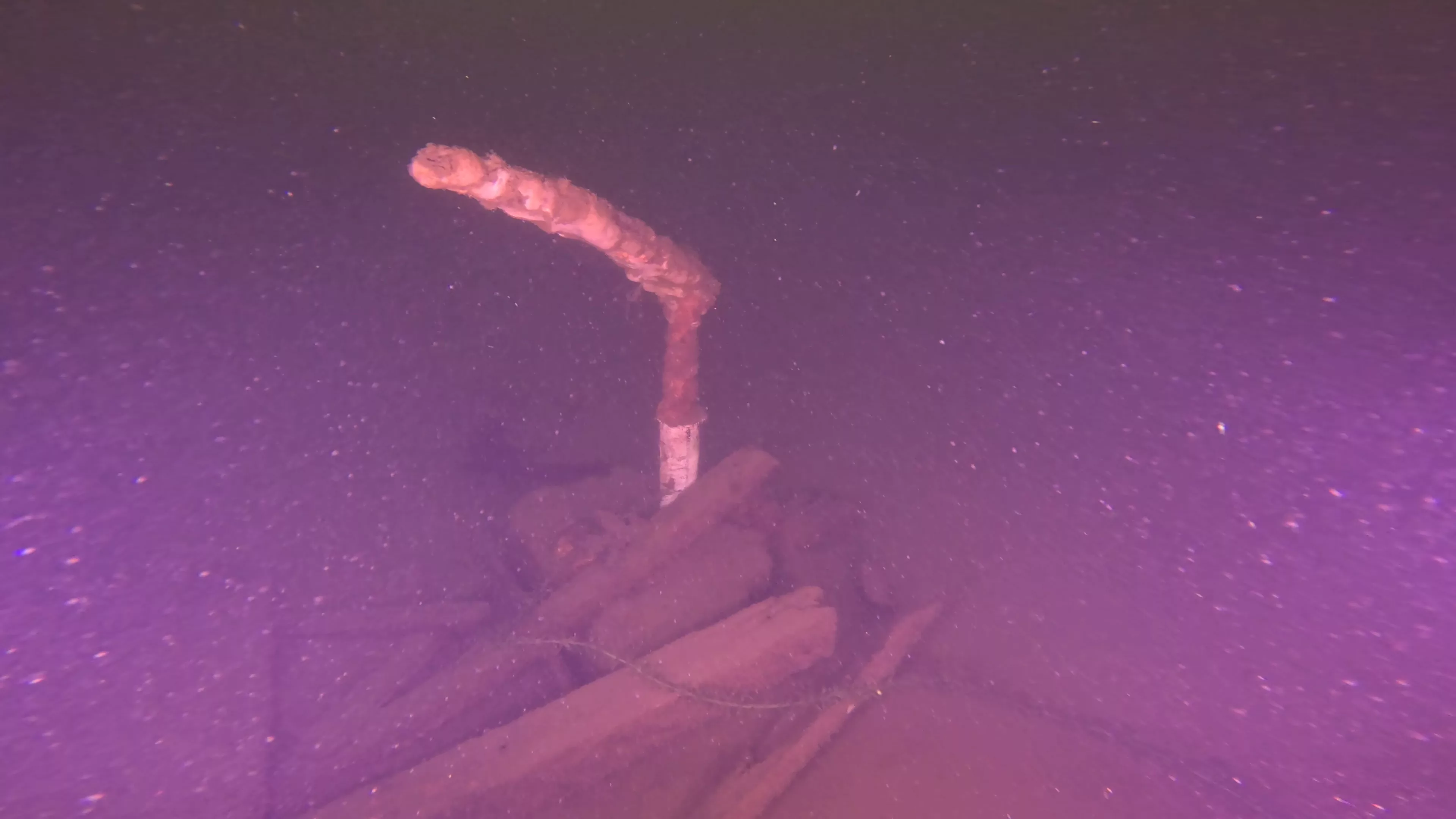 Collapsed Wood Shipwreck (LU045), Lake Union, Seattle, WA — main photo