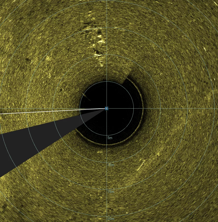 Collapsed Wood Shipwreck (LU045), Lake Union, Seattle, WA — side-scan sonar image